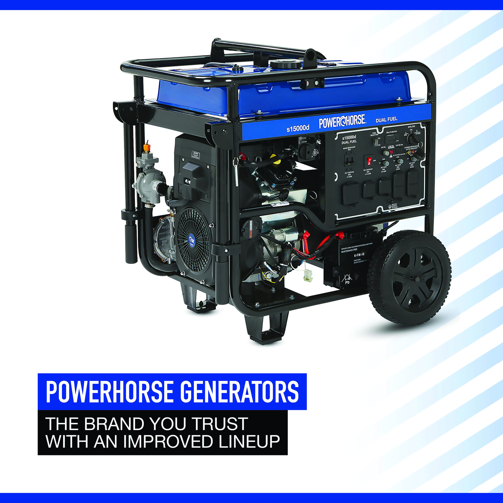 Official Powerhorse 15000 Dual Fuel product view 2