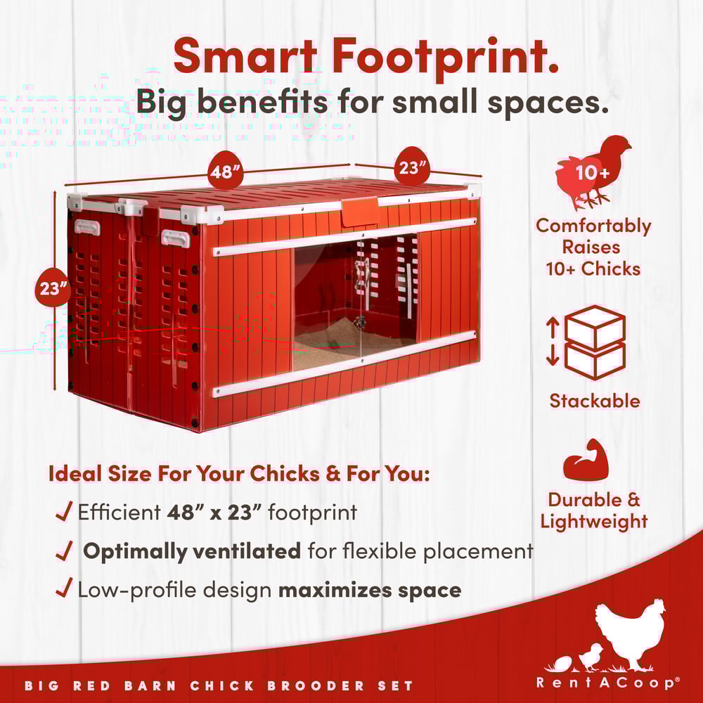 RentACoop, Big Red Barn Brooder All-In-One Set, Complete with 2 Feeders, 2 Waterers, Heating Plate, Swing, Jute Liner, and Hatchling LIners, Model# BR-LARG-SET