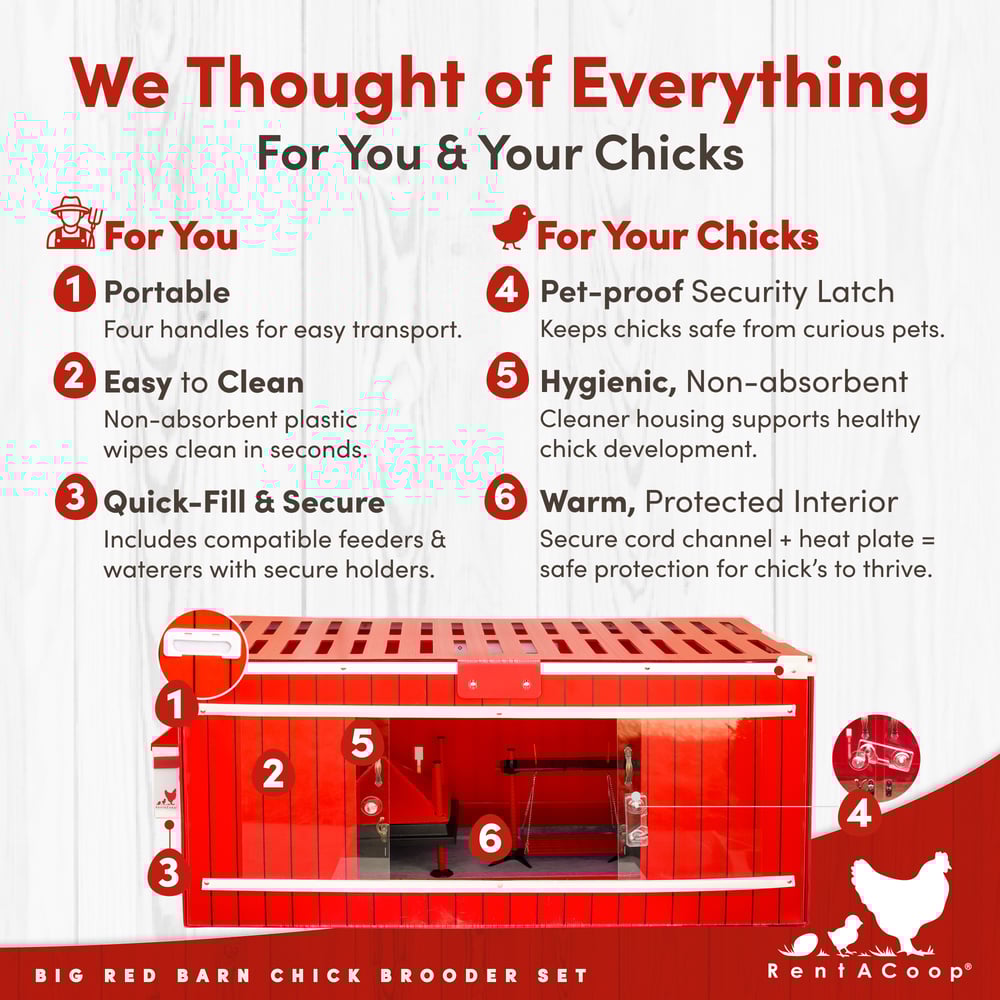 RentACoop, Big Red Barn Brooder All-In-One Set, Complete with 2 Feeders, 2 Waterers, Heating Plate, Swing, Jute Liner, and Hatchling LIners, Model# BR-LARG-SET