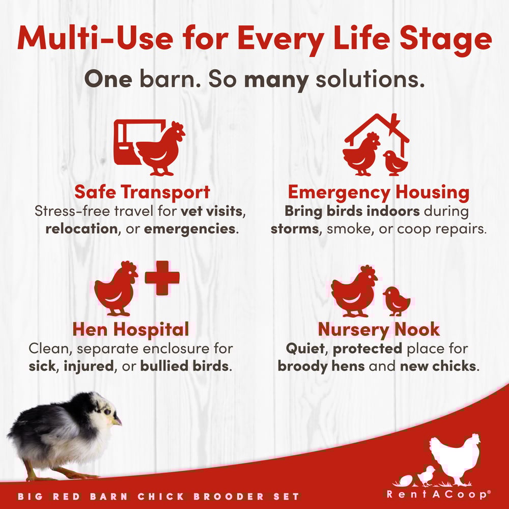 RentACoop, Big Red Barn Brooder All-In-One Set, Complete with 2 Feeders, 2 Waterers, Heating Plate, Swing, Jute Liner, and Hatchling LIners, Model# BR-LARG-SET