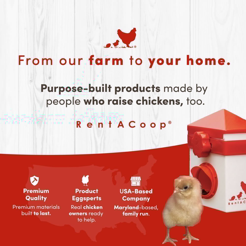 RentACoop, Big Red Barn Brooder All-In-One Set, Complete with 2 Feeders, 2 Waterers, Heating Plate, Swing, Jute Liner, and Hatchling LIners, Model# BR-LARG-SET