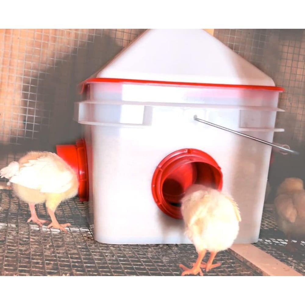 RentACoop, 10 Lb. Chick2Chicken 4-Port Poultry Feeder,Includes Anti-Roost Cone, Slider Port Cover, and Lid - Suitable for up to 20 Chicks & 12 Adult Chickens, Model# PL-2GAL-FEED