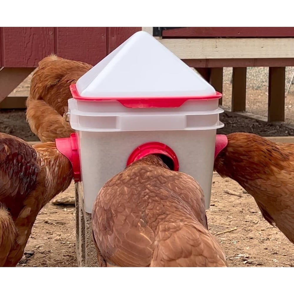 RentACoop, 10 Lb. Chick2Chicken 4-Port Poultry Feeder,Includes Anti-Roost Cone, Slider Port Cover, and Lid - Suitable for up to 20 Chicks & 12 Adult Chickens, Model# PL-2GAL-FEED