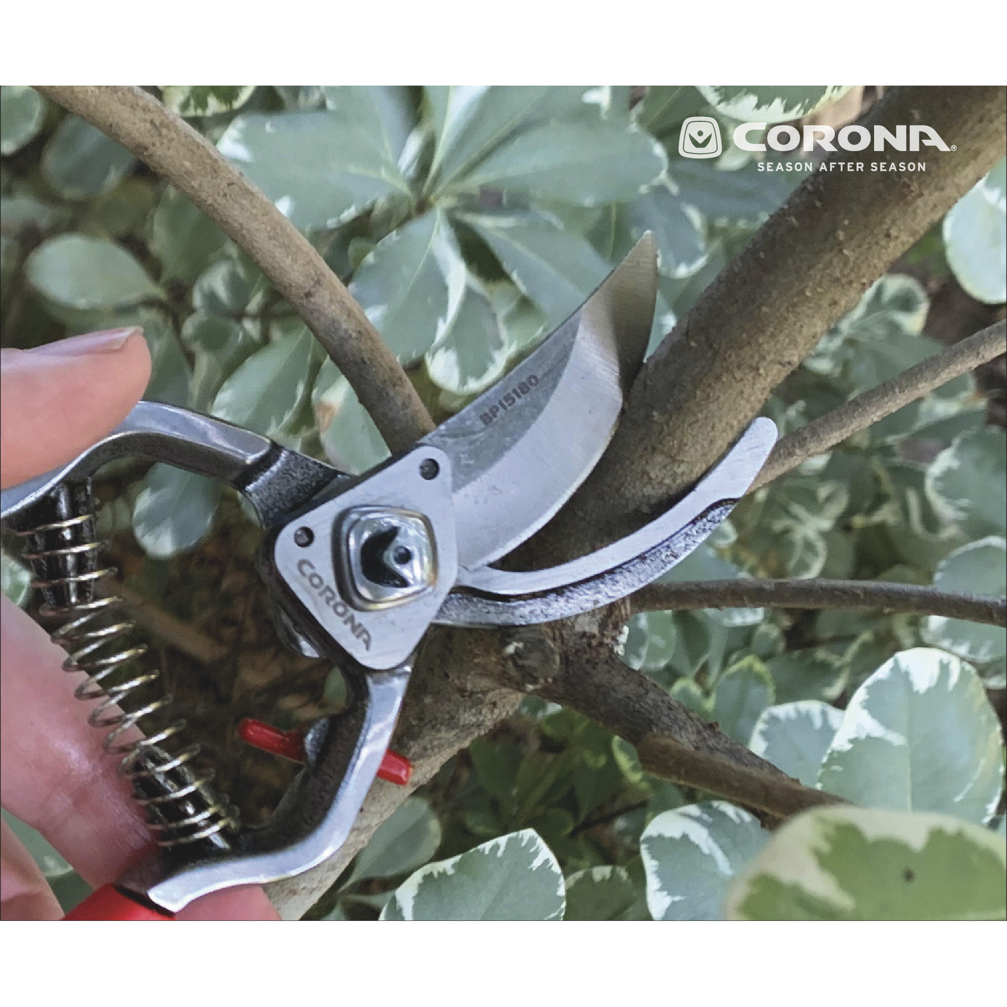 Corona Hand Pruner — 8.4in.L., Model BP15180 Northern Tool
