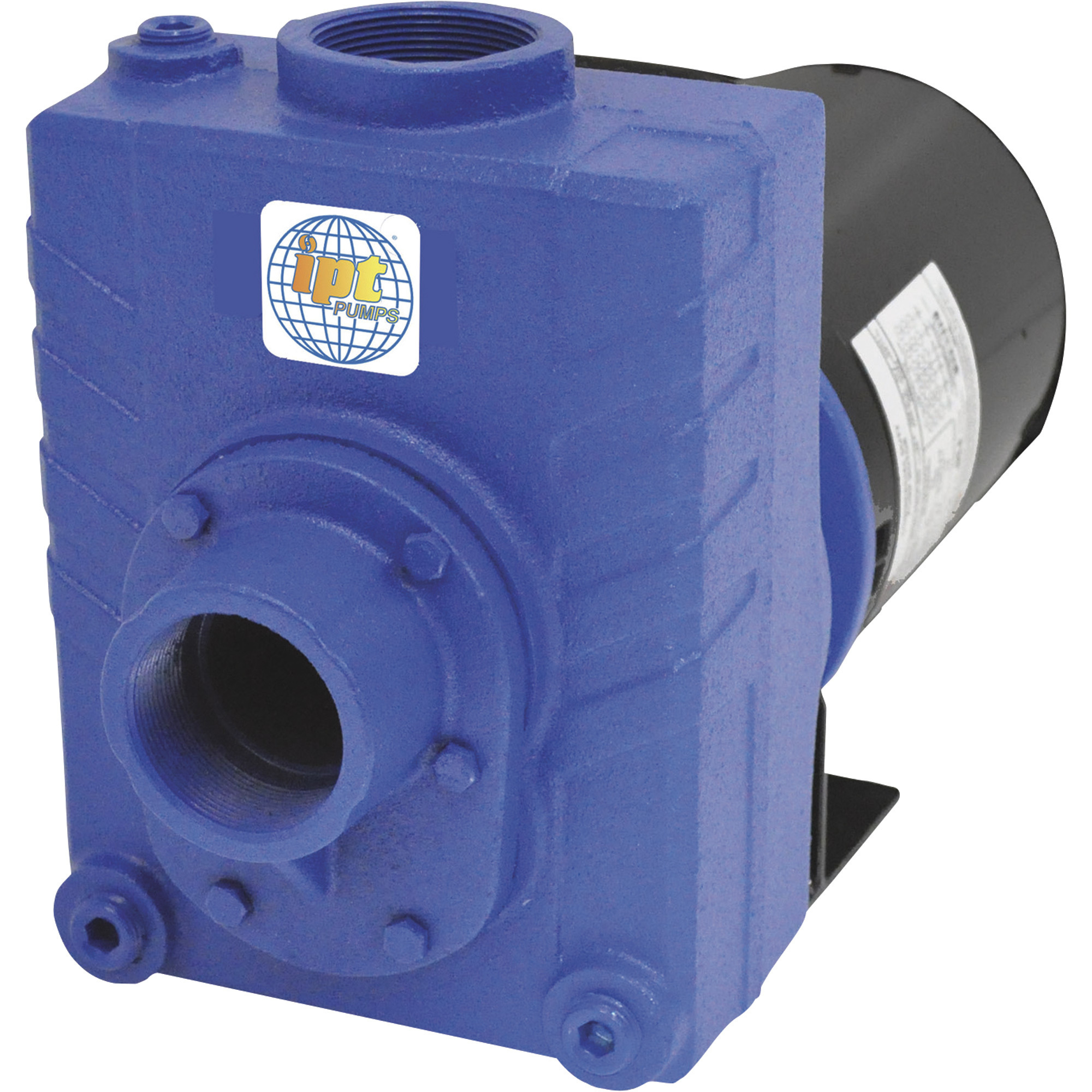 IPT Cast Iron Self-Priming Centrifugal Water Pump, 7,500 GPH, 2 HP, 2in., Model# 2763-IPT-95