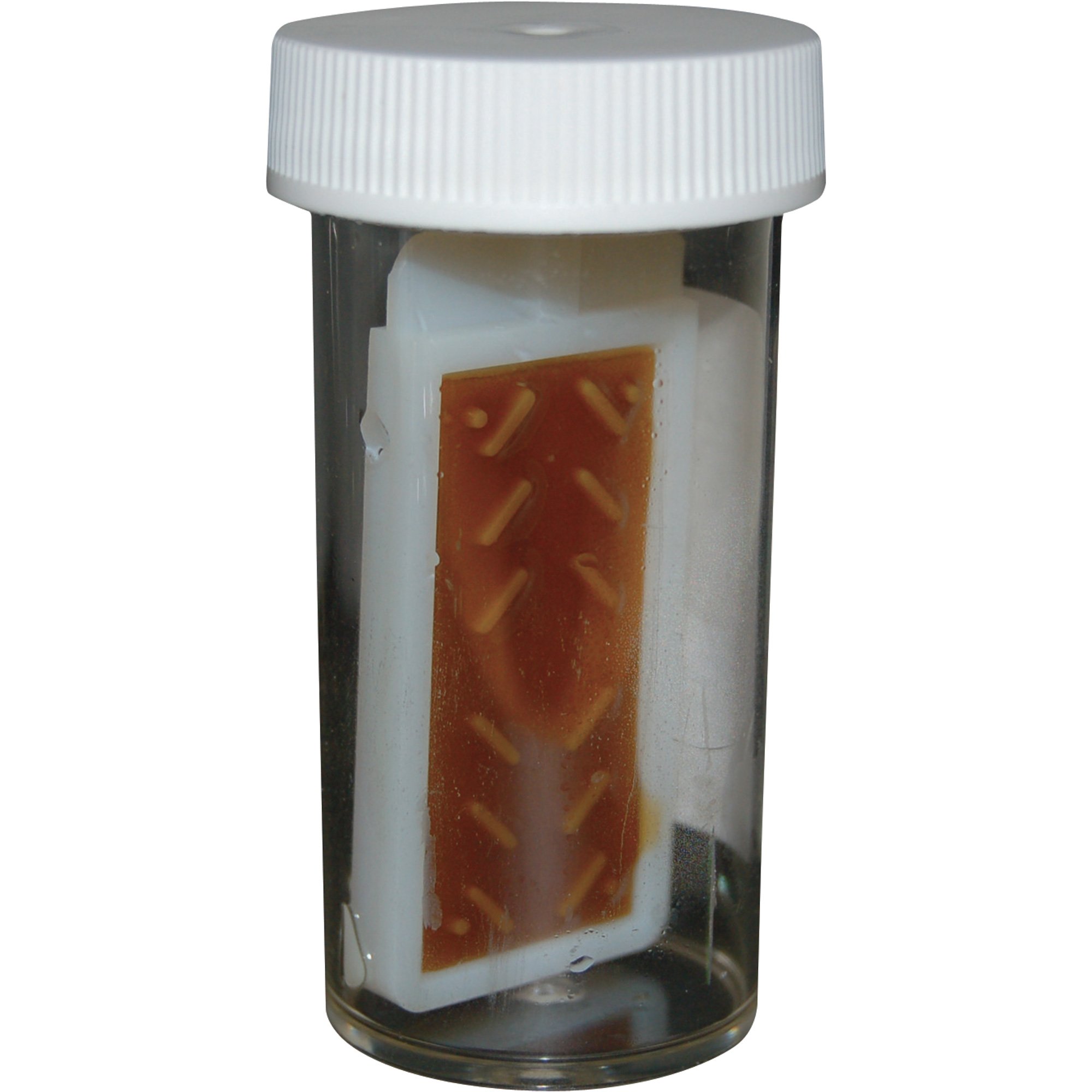 Fleet Biodiesel Diesel and Biodiesel Fuel Test Kit — Microbial Contamination, 6 Tests, Model# FT-0110