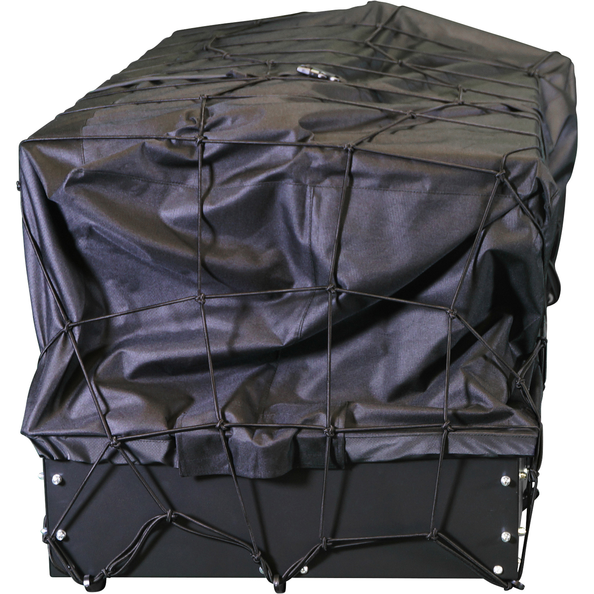 Lets Go Aero BigBoss Enclosed Cargo Carrier, 300Lb. Capacity, 48in.L x