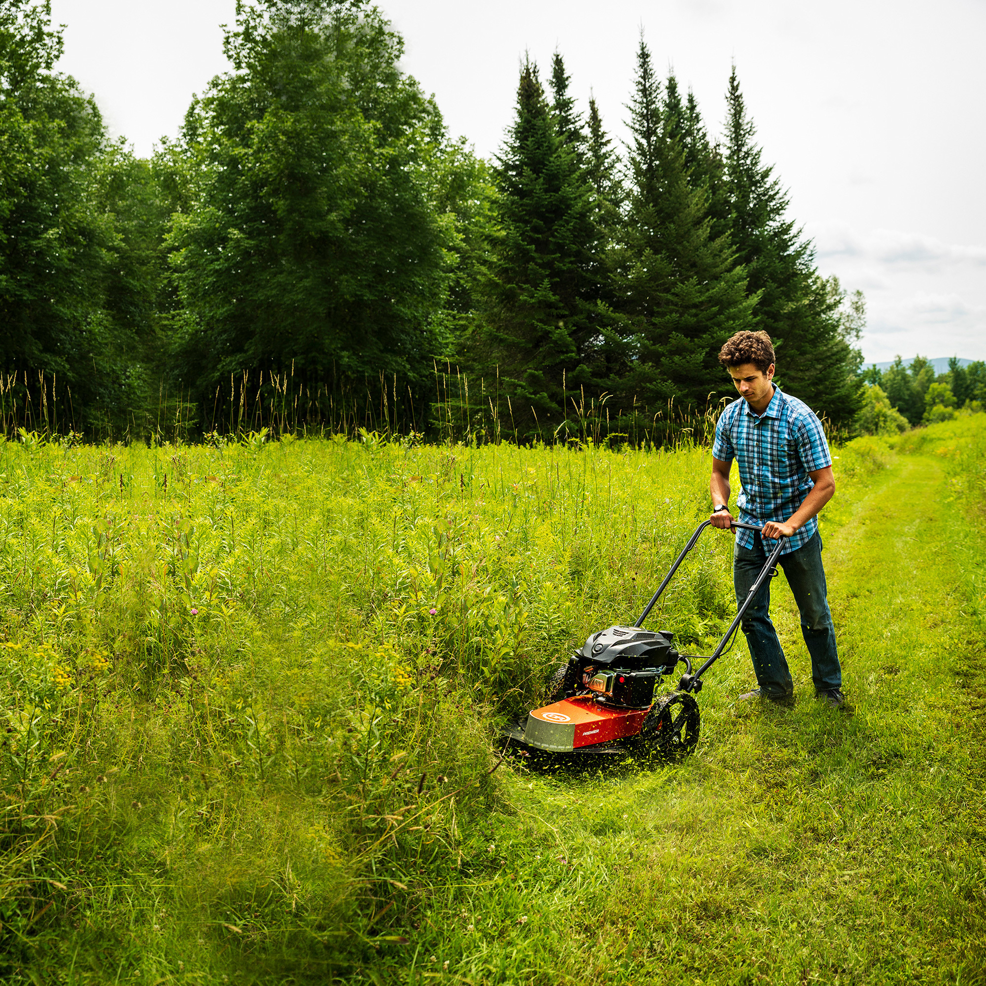 DR Power PREMIER Walk-Behind String Trimmer/Mower, 163cc, 22in. Cutting ...