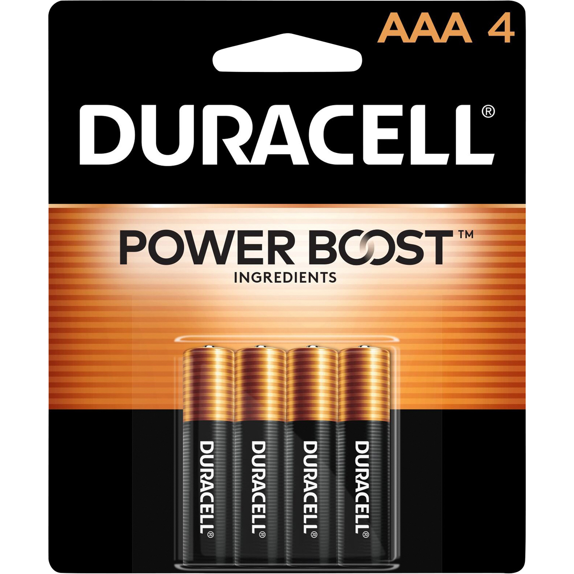 Duracell Coppertop AAA Alkaline Batteries, 4-Pk.