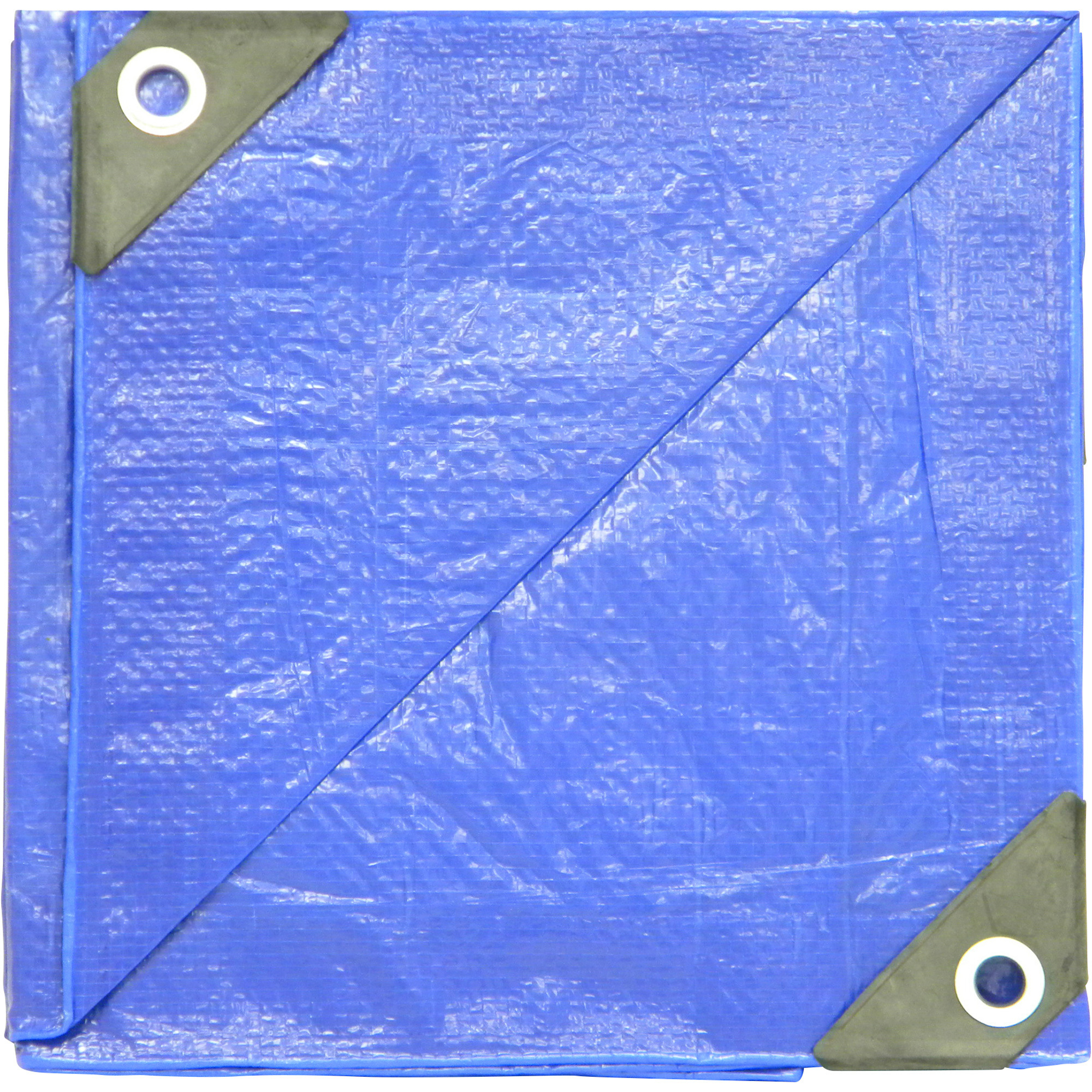 Dize Poly Tarp, Blue, 15ft. x 30ft., Model# PT1530