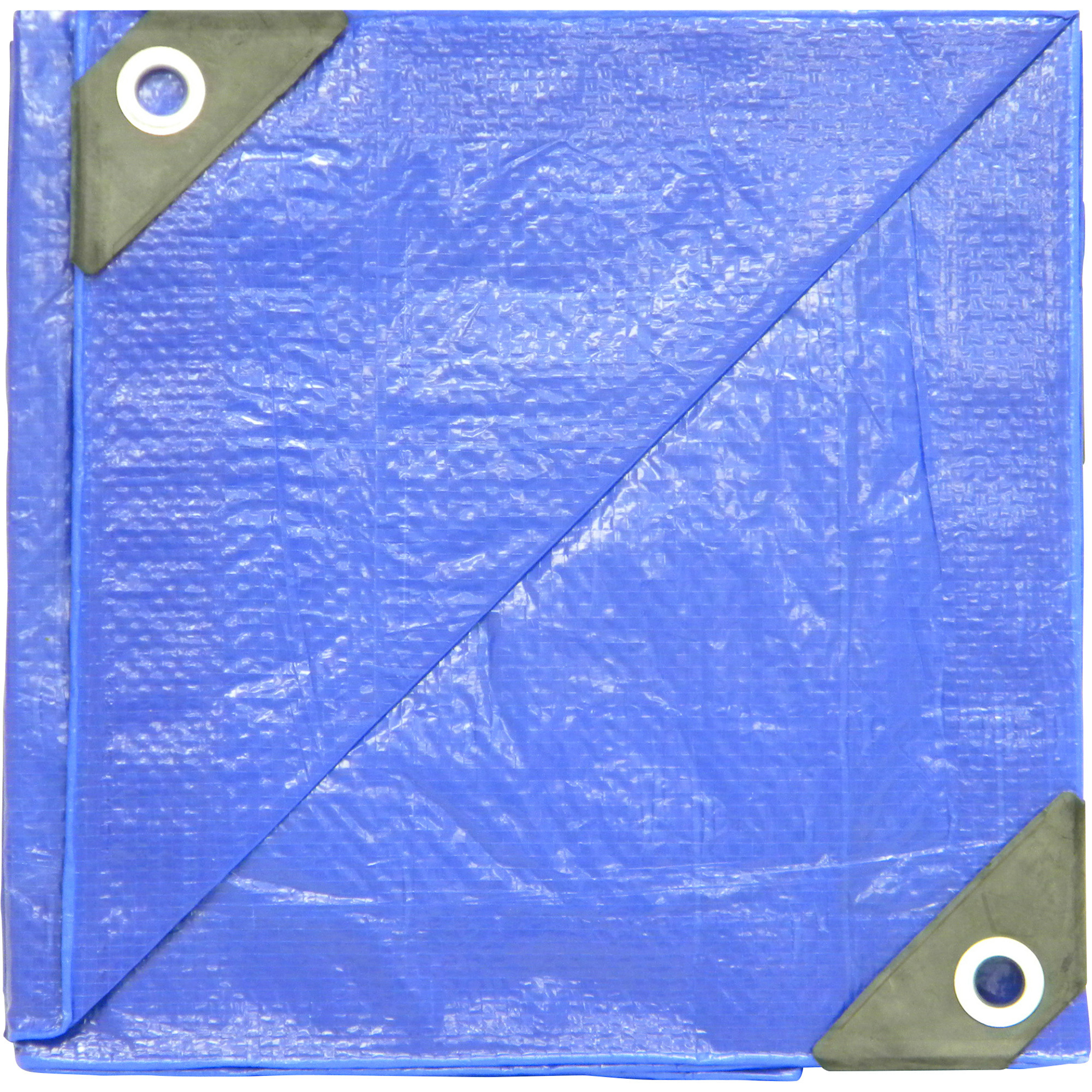 Dize Poly Tarp, Blue, 20ft. x 25ft., Model# PT2025