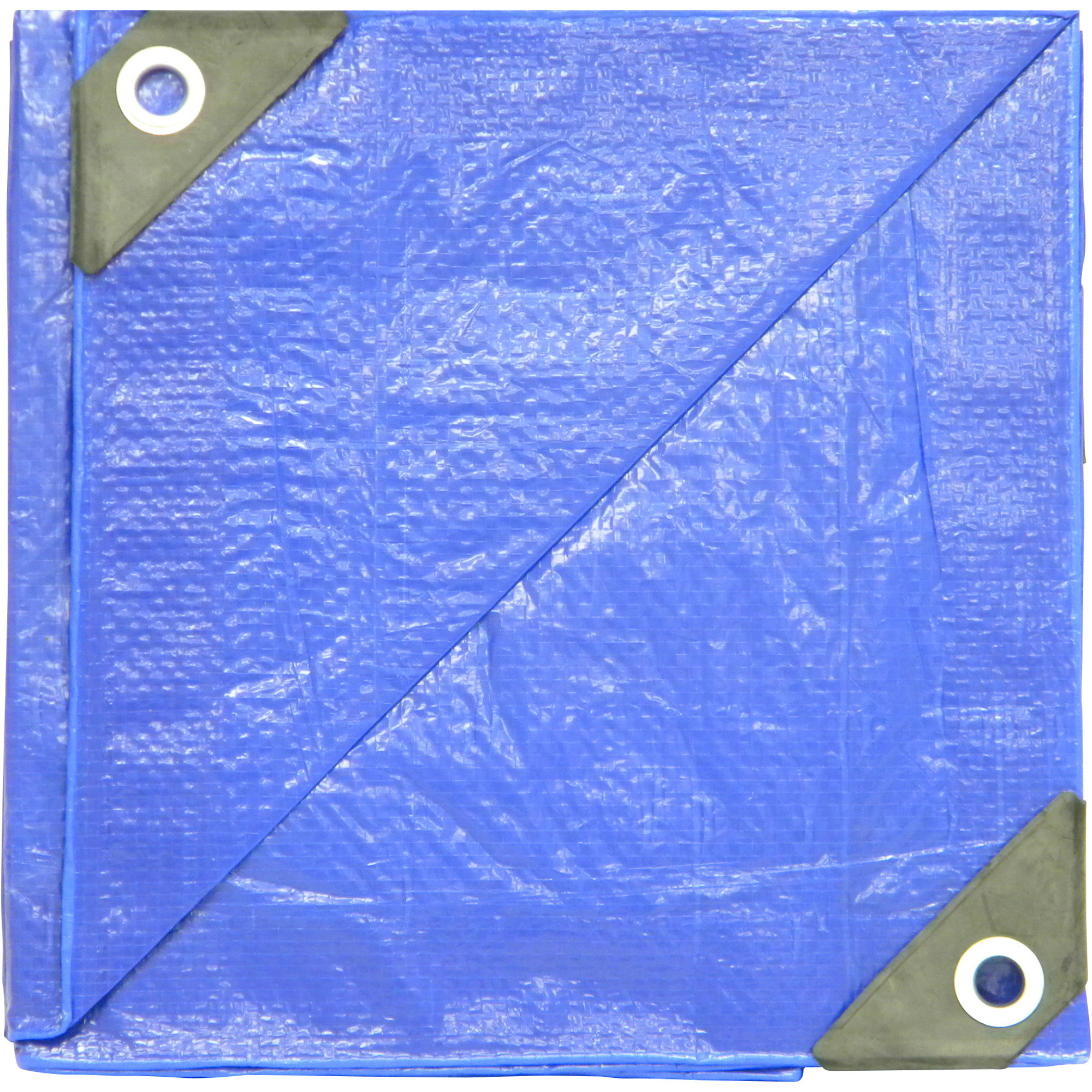 Dize Poly Tarp, Blue, 40ft. x 60ft., Model# PT4060