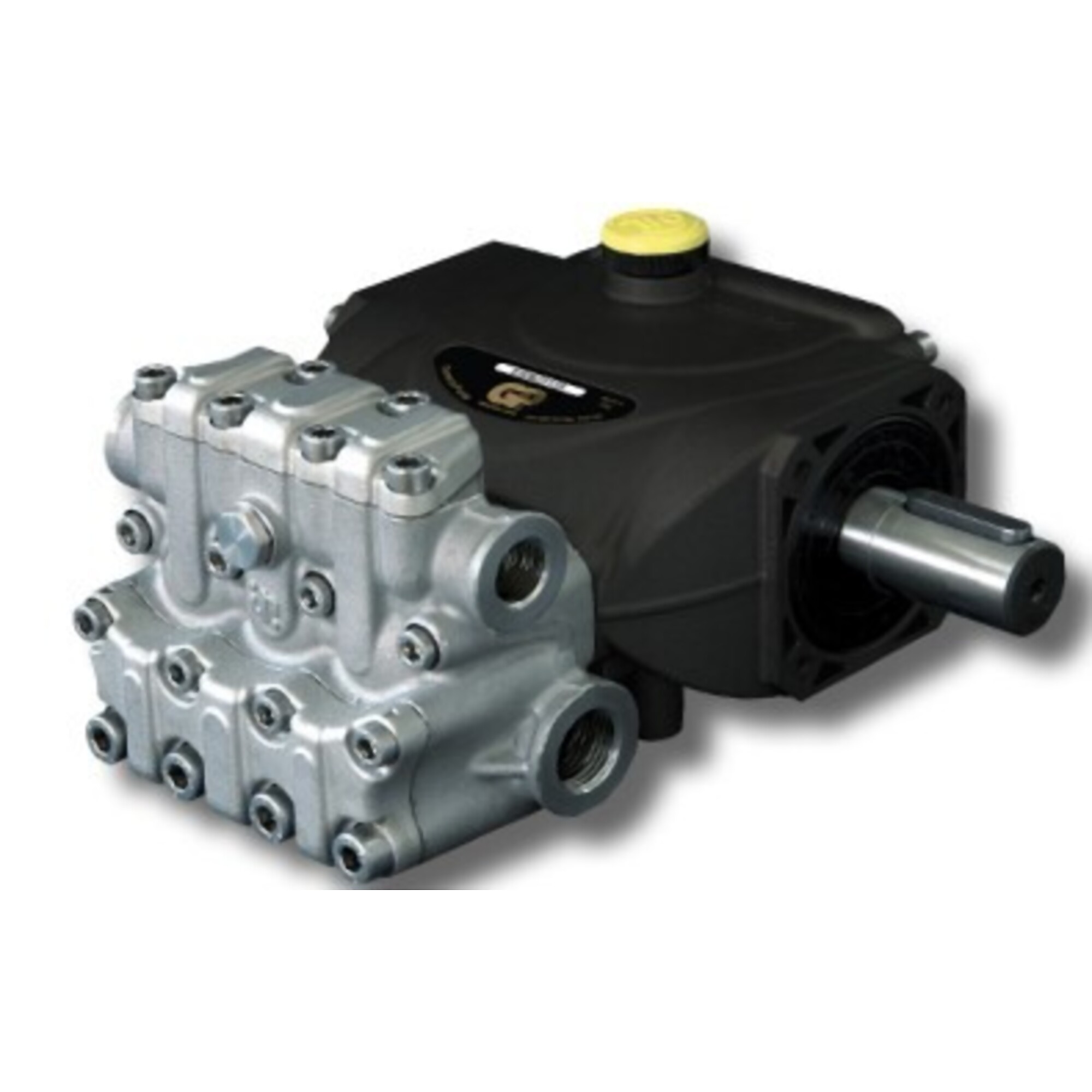 2.5GPM 1500PSI SS PUMP