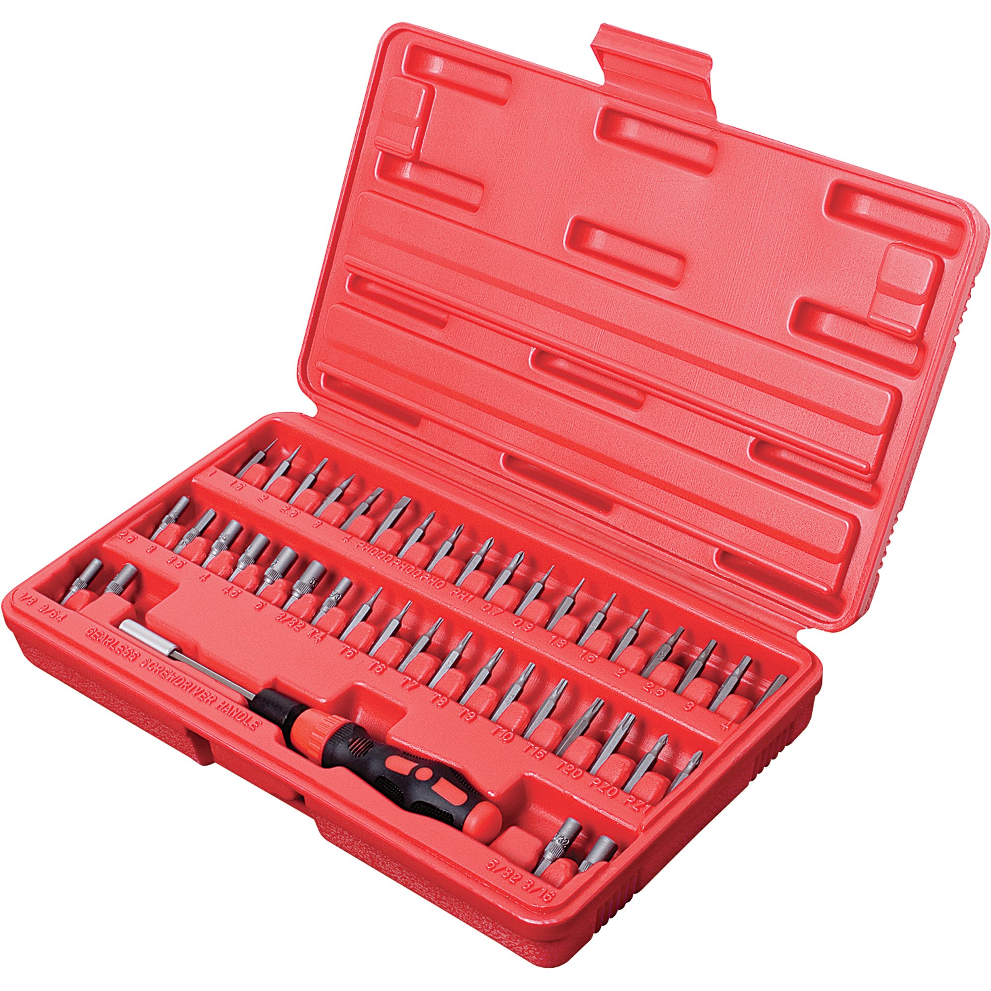 Sunex Tools 41-Pc. Precision Bit Set, Model# 9941 | Northern Tool