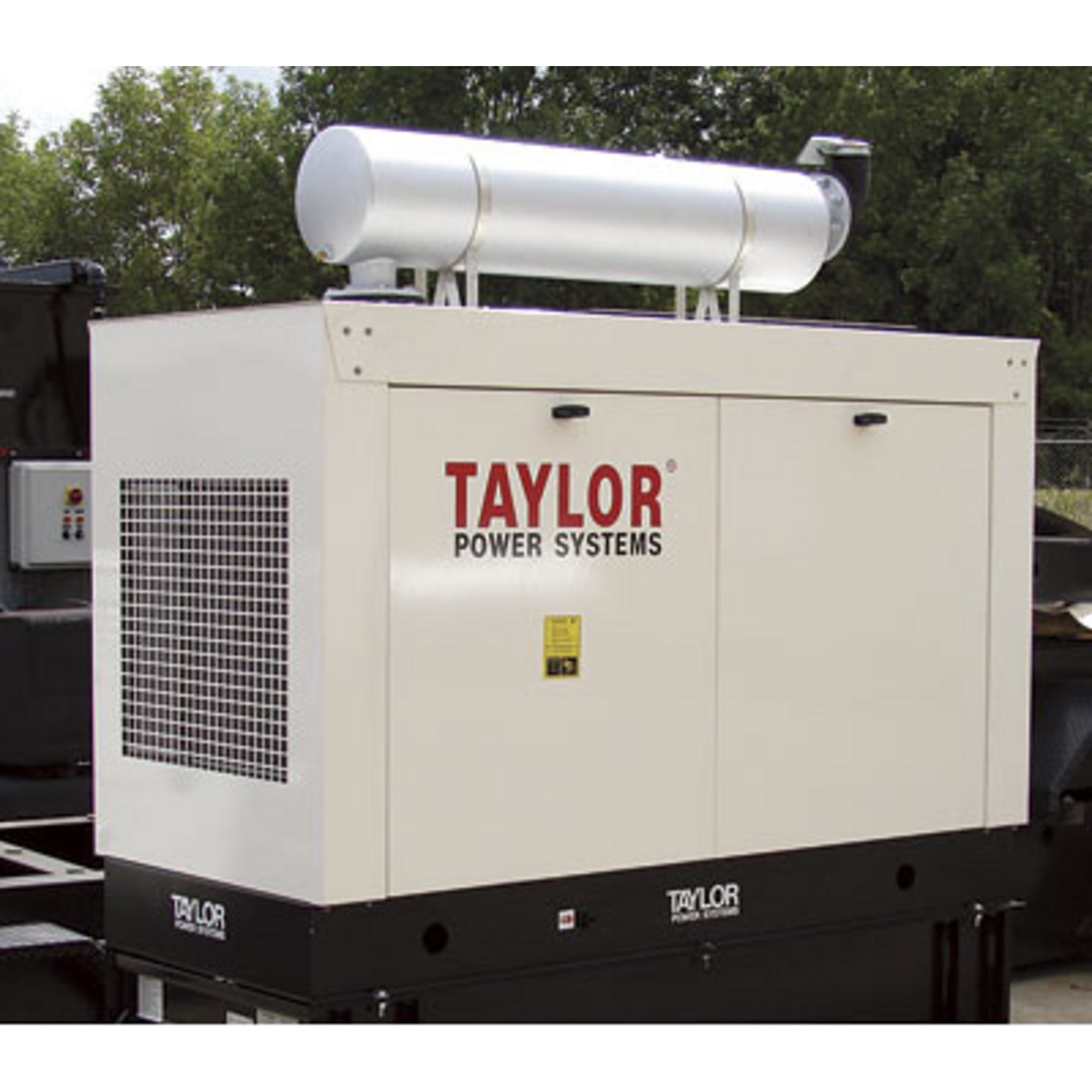 Taylor Skid Mount Diesel Generator Set — 100 kW, Model# NTDS100M2