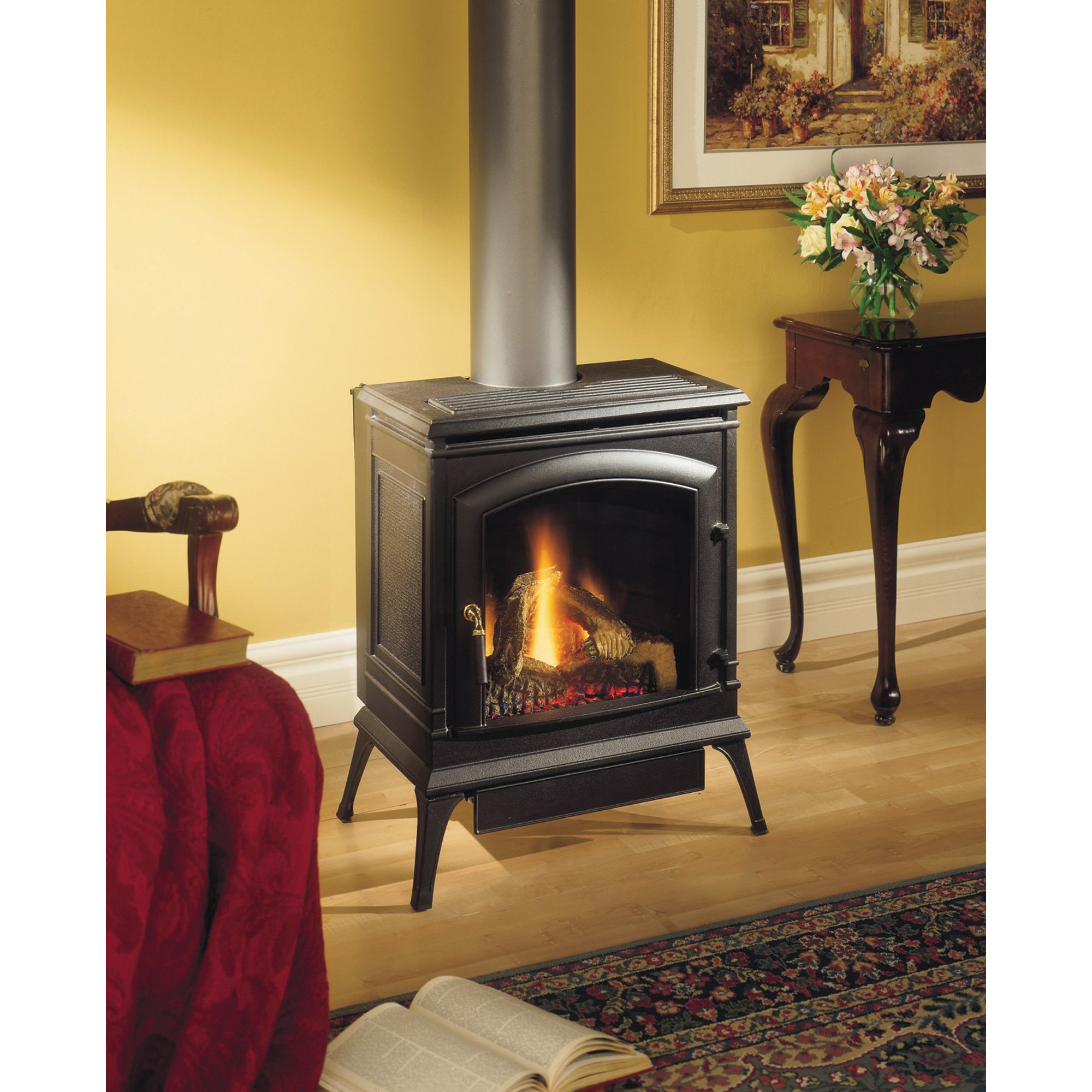 Century "The Jefferson" Direct-Vent Gas Stove, Model# JDVBRN