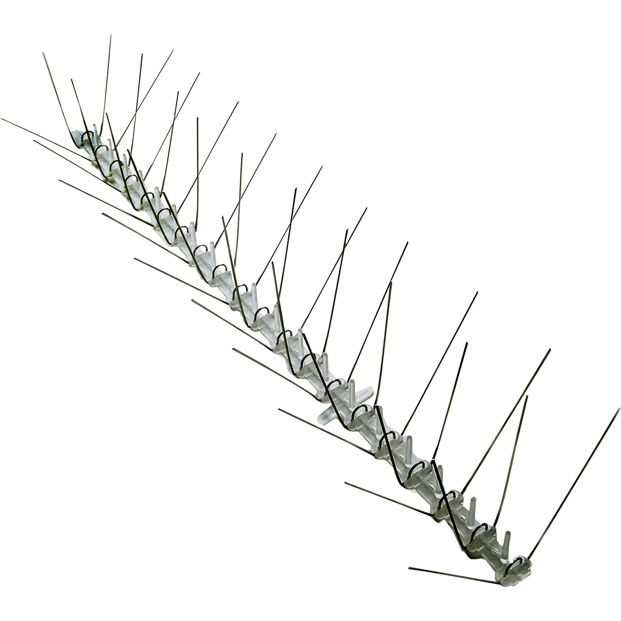 Bird-X Stainless Steel Bird Spikes, 50ft.L x 8in.W, Model# EWS-50