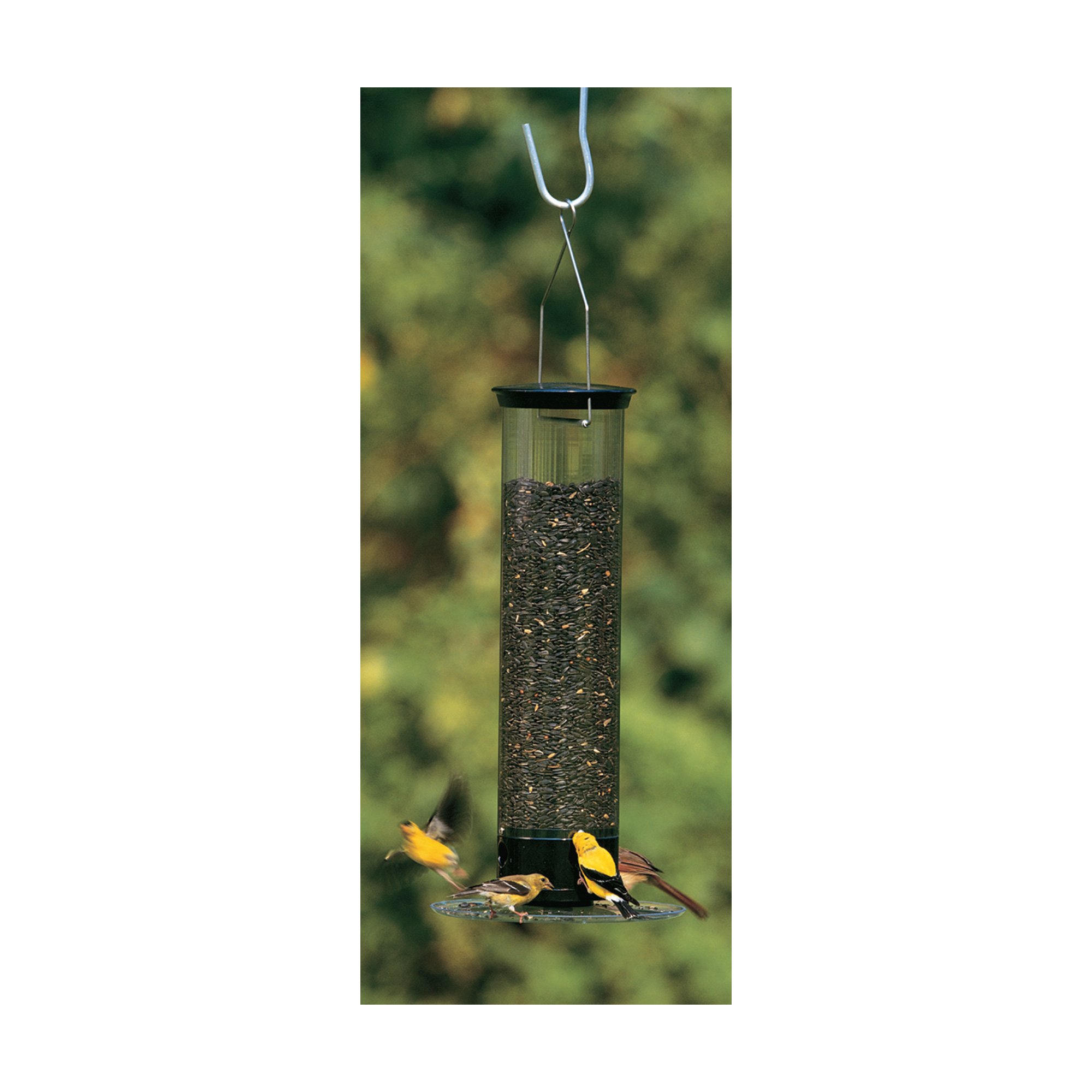 Droll Yankees Yankee Tipper Bird Feeder, Model# YCPT360 | Northern Tool