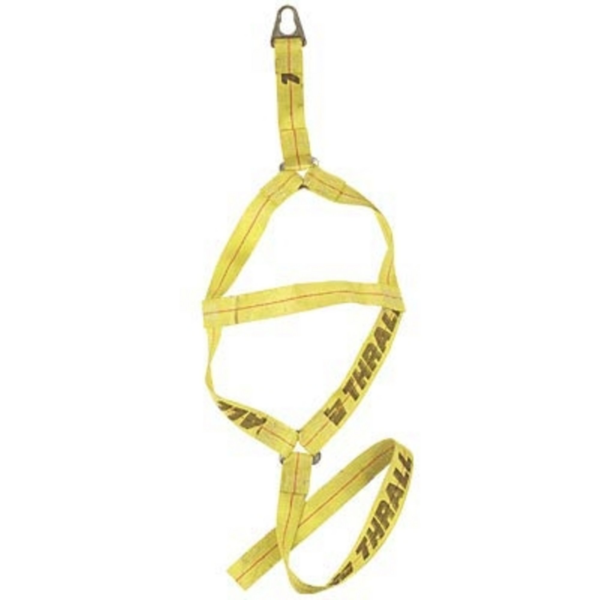 Wheel Tie Down Strap Northern Tool