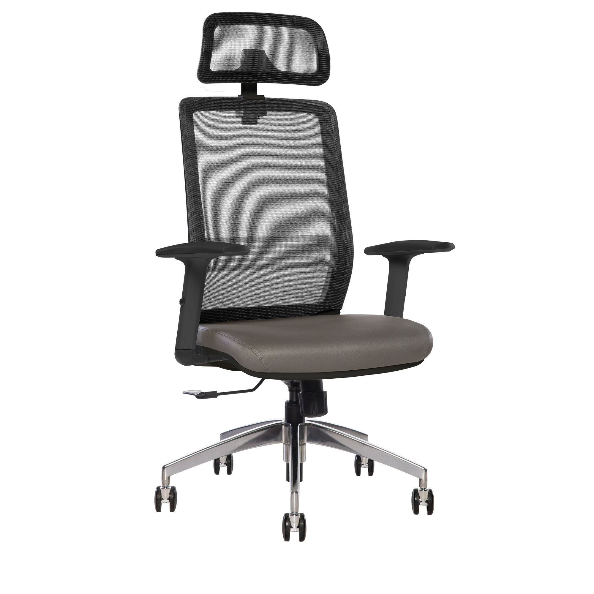 Primy Ergonomic High Back Office Chair with Adjustable Sponge