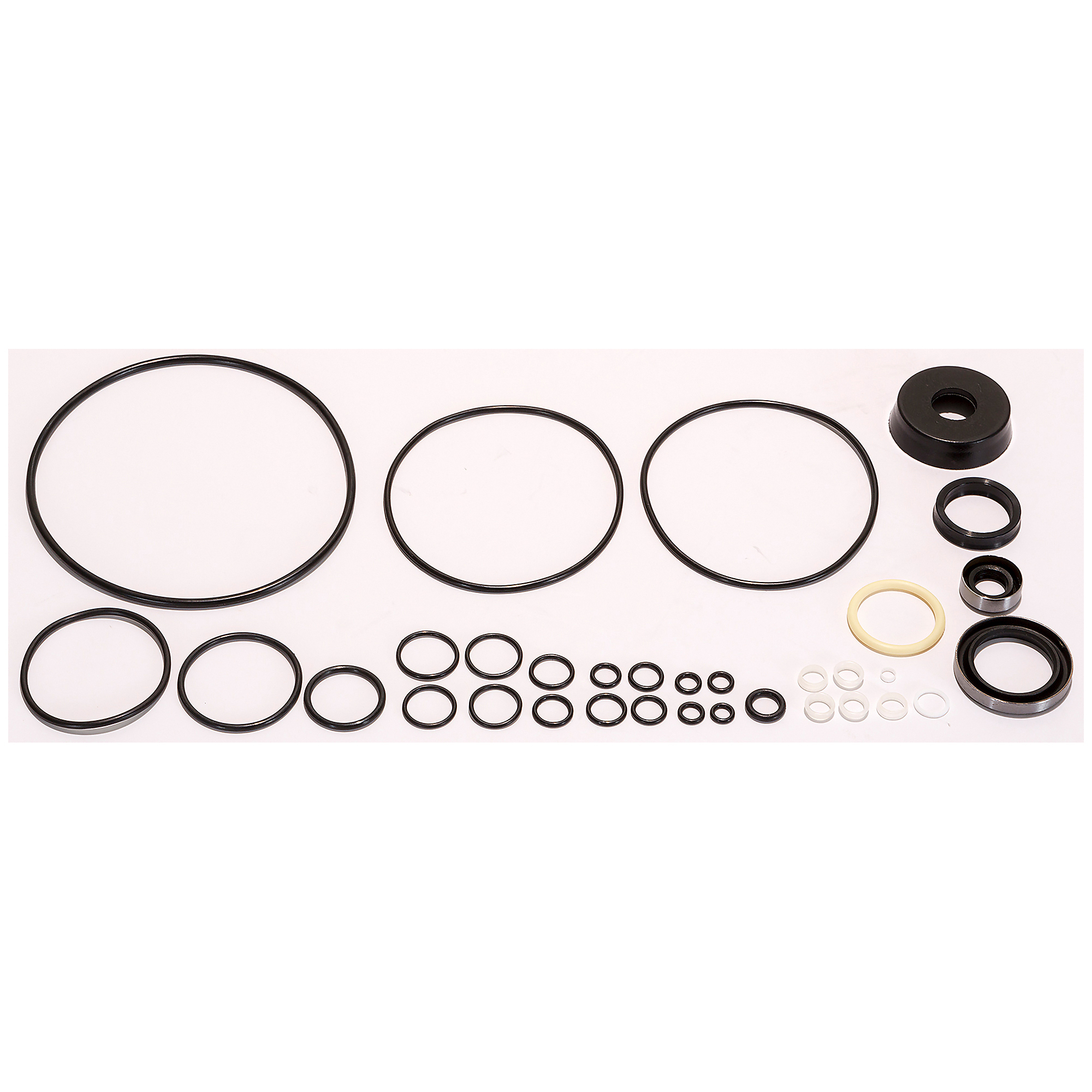 Buyers Products, SAM Master Seal Kit similar to Meyer OEM: 15705 Pieces (qty.) 1 Length 8.6 in, Model# 1306225