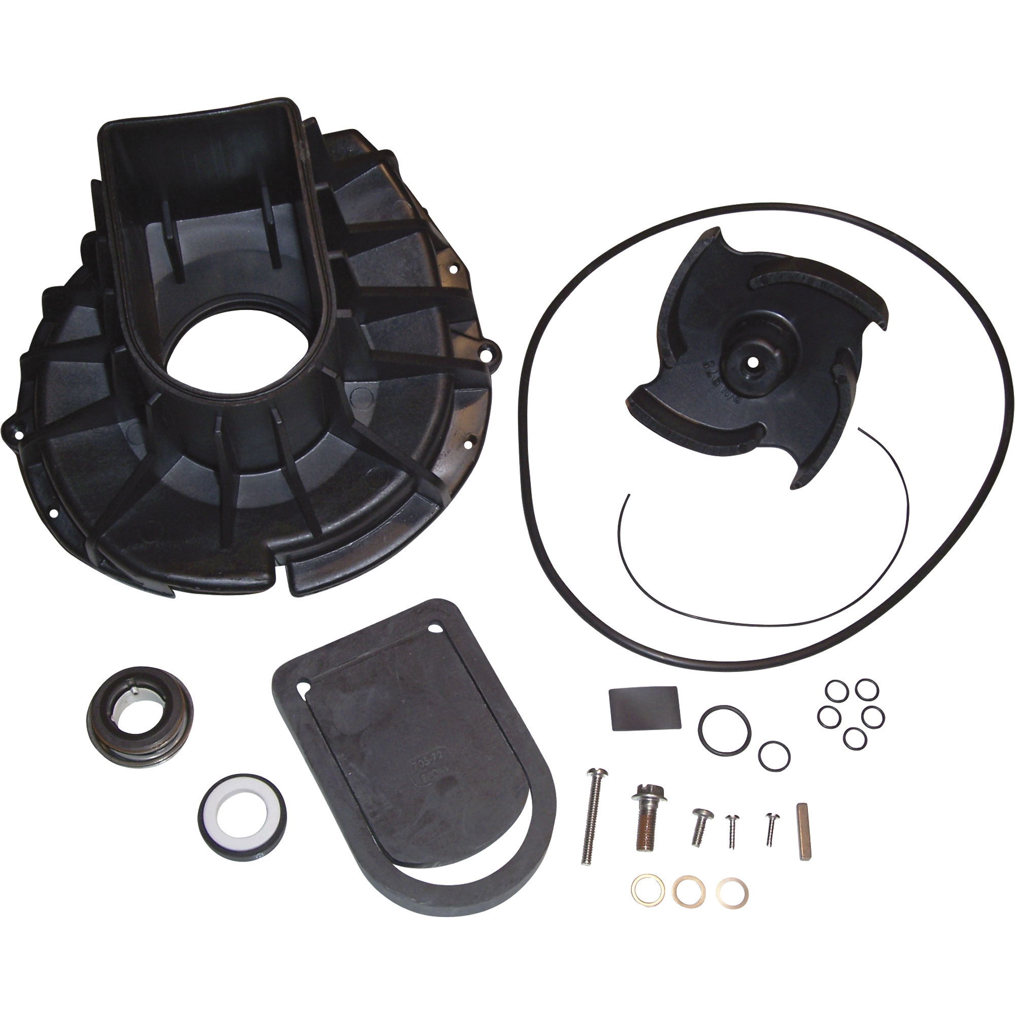 Pacer Pumps Rebuild Kit, Model# P-58-977EP-RS