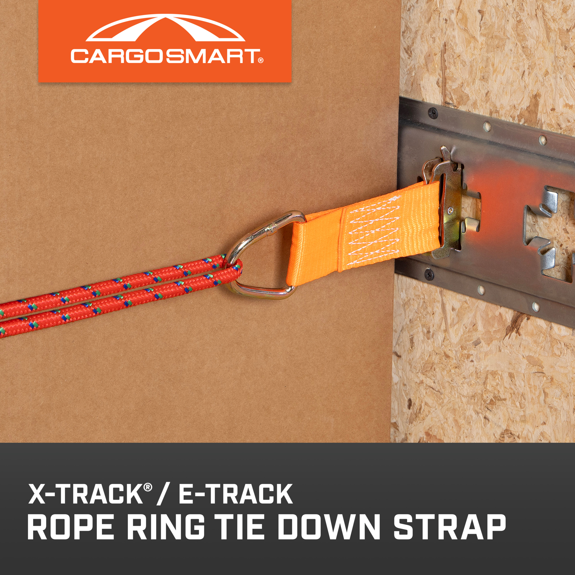 CargoSmart Rope Ring TieDown Strap, 2in. x 6in., 2,000Lb. Capacity