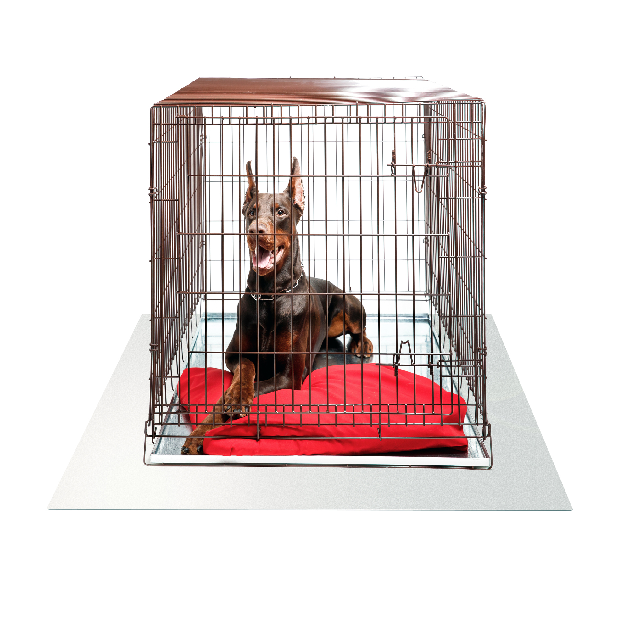 Dog Cage mats for flooring