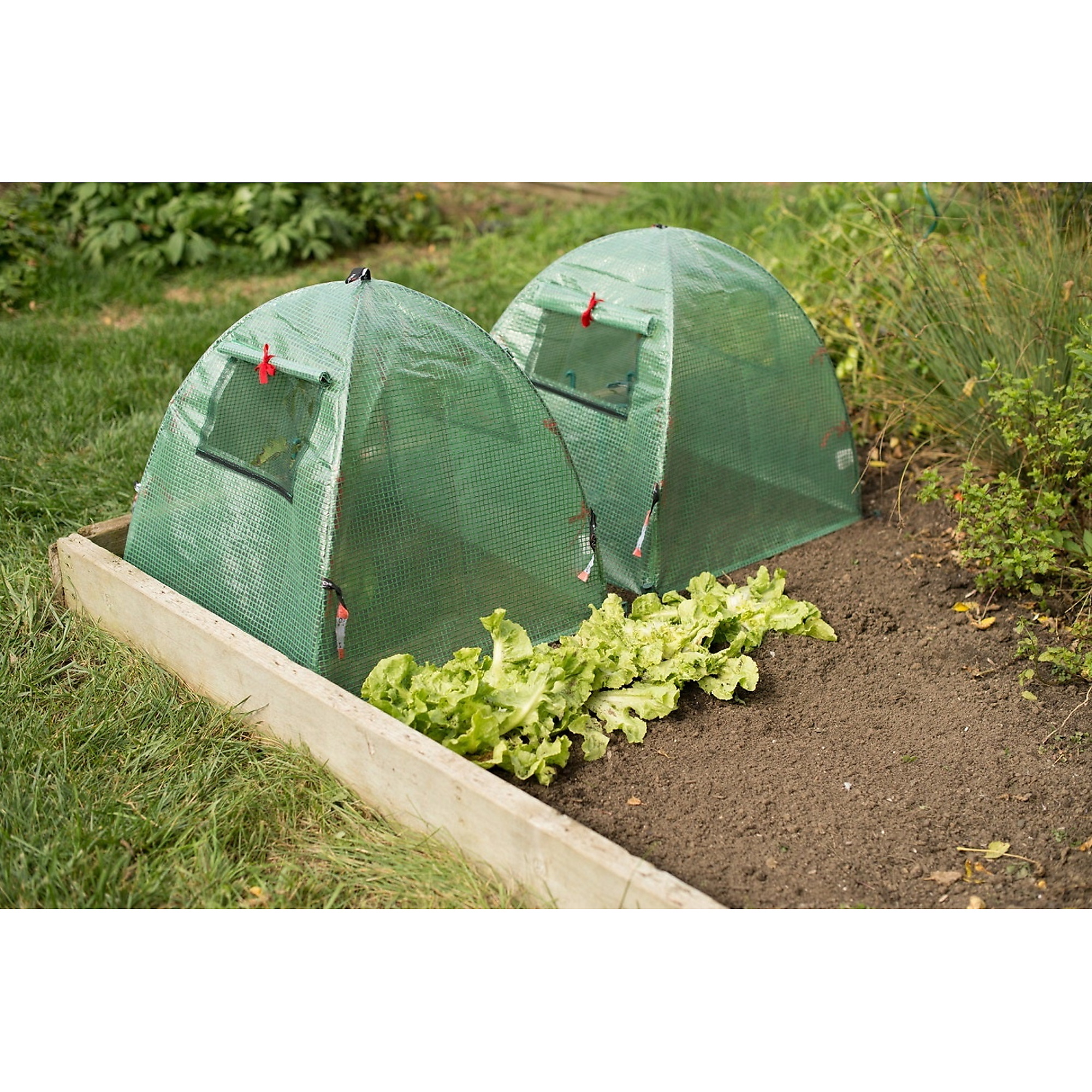 NuVue Pop-Up Greenhouses/Accelerators - 28in. x 28in. x 30in., Built-In Windows, 2-Pack, Model# 24245