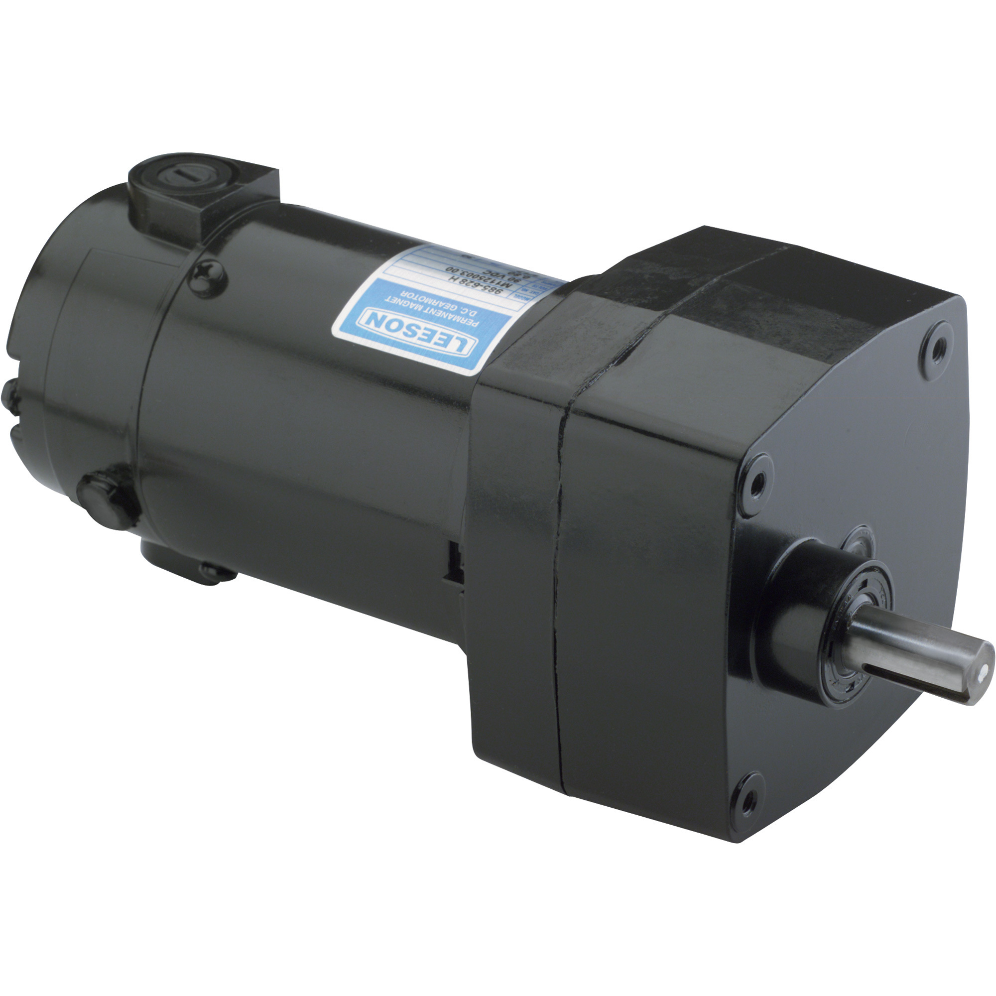 Leeson AC Gear Electric Motor — 1/6 HP, 60/50 RPM, 115/230 Volts