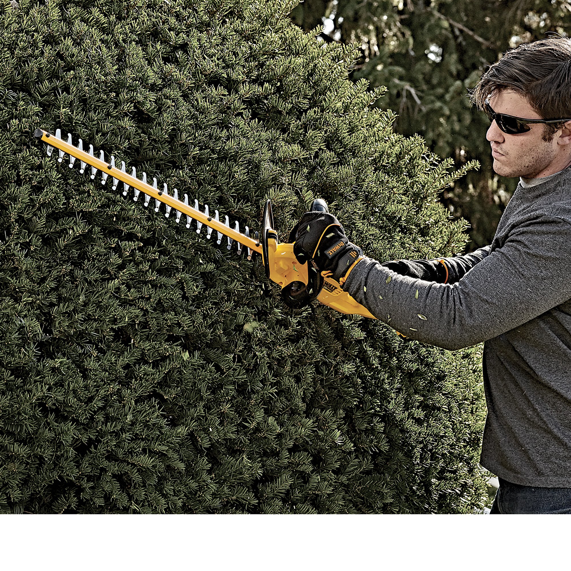 Dewalt 20V MAX Cordless Hedge Trimmer — 5Ah, Model DCHT820P1