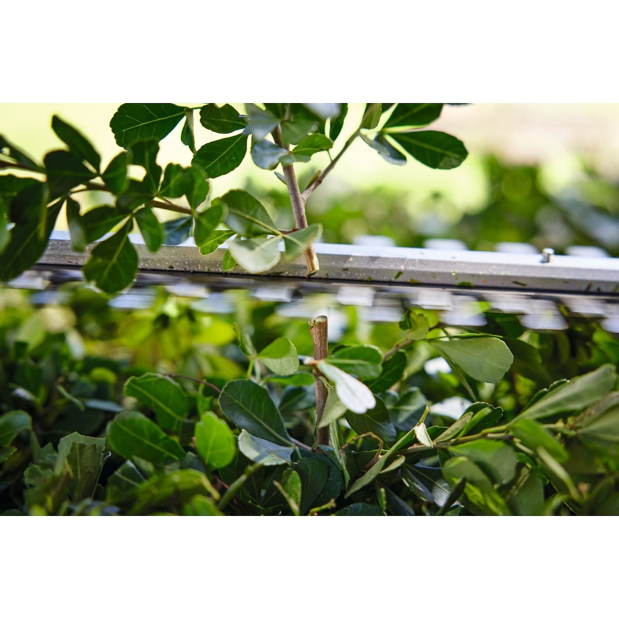 Stihl, LithiumIon Hedge Trimmer, Blade Length 18 in, Model HSA 30 SET Northern Tool