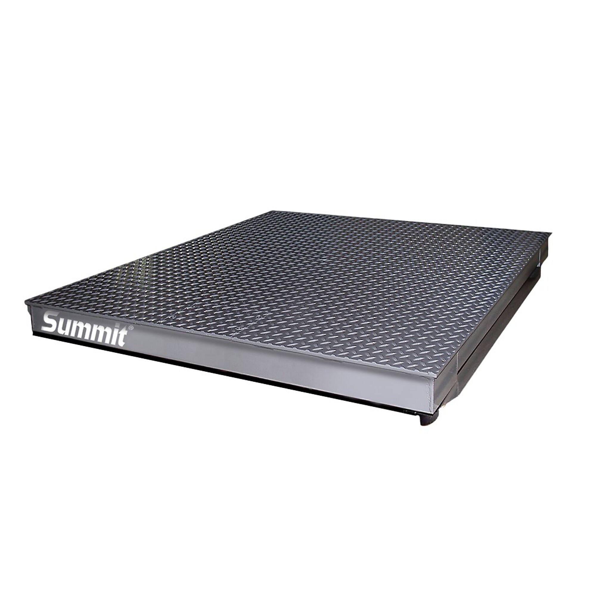 Rice Lake Summit 3000 Floor Scale Package - 10000-Lb. Capacity, 48in. x 48in. Platform, Factory Calibrated, Model# Summit 3000