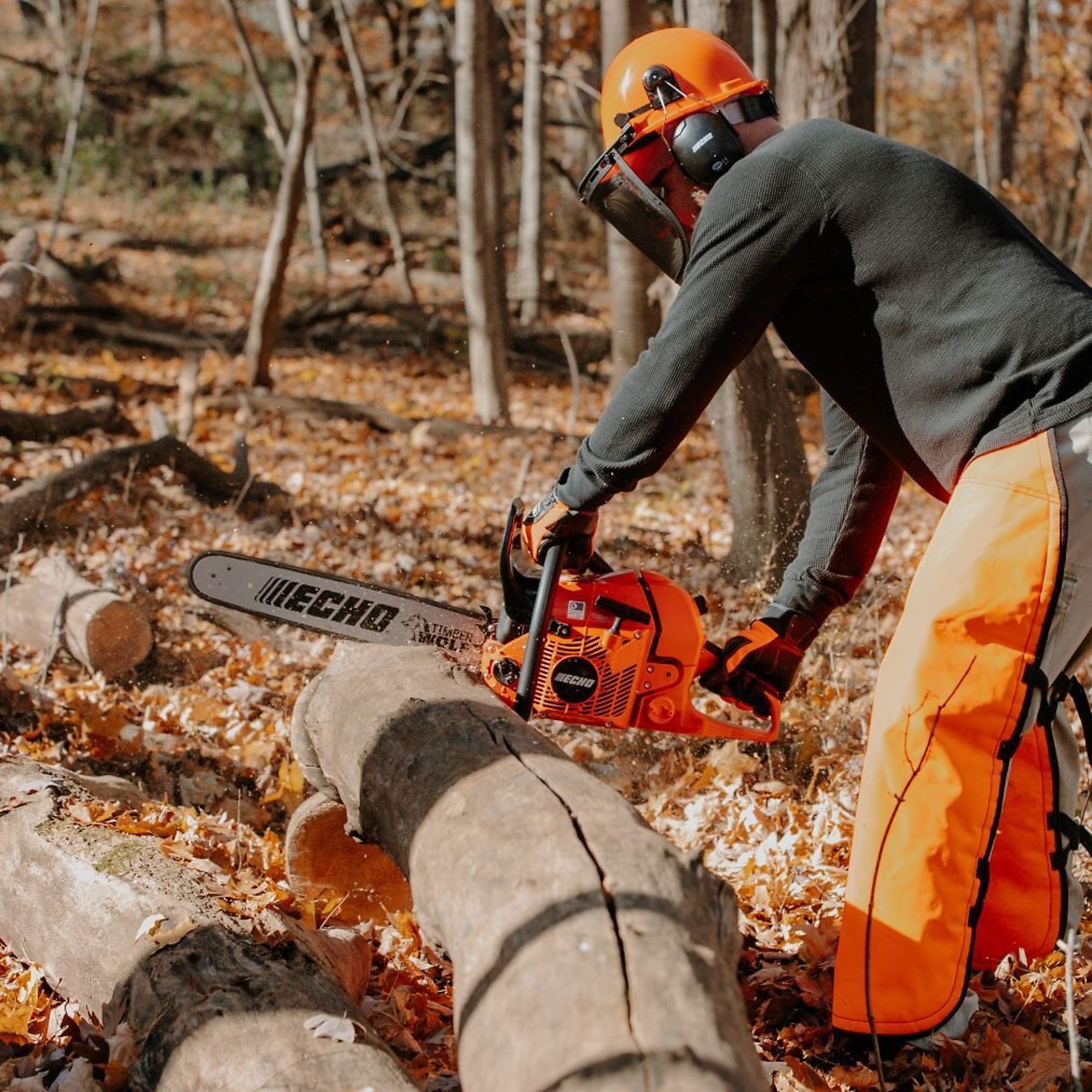 ECHO, Gas-Powered Rear Handle Timber Wolf Chainsaw, Bar Length 20