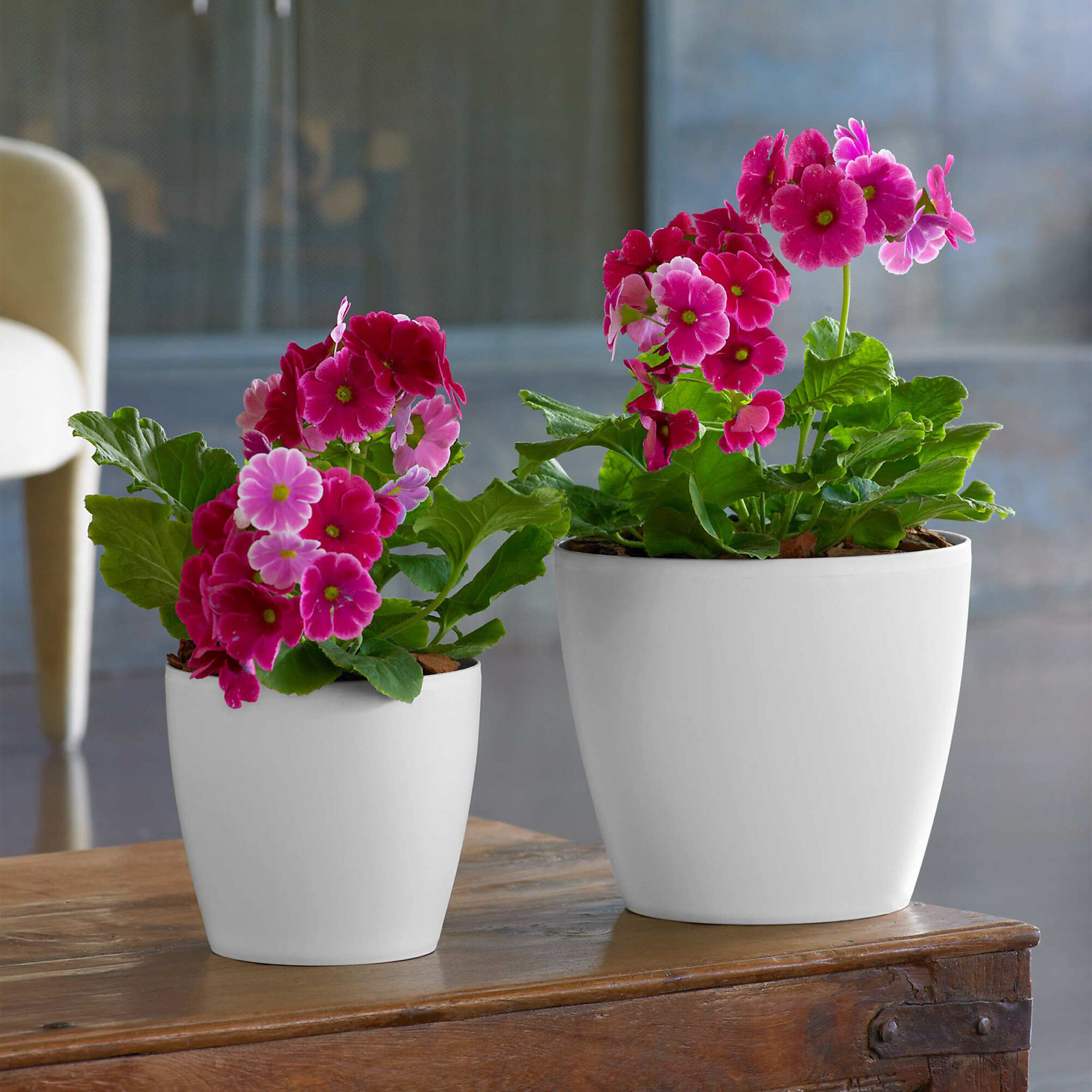 thumbnail 2 of 2