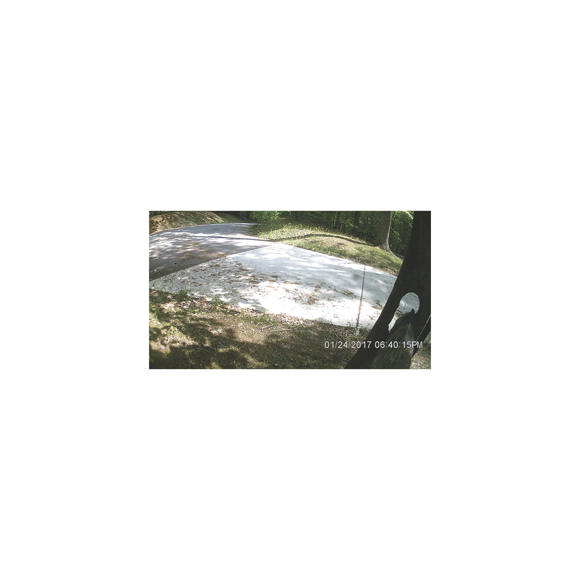 thumbnail 5 of 5