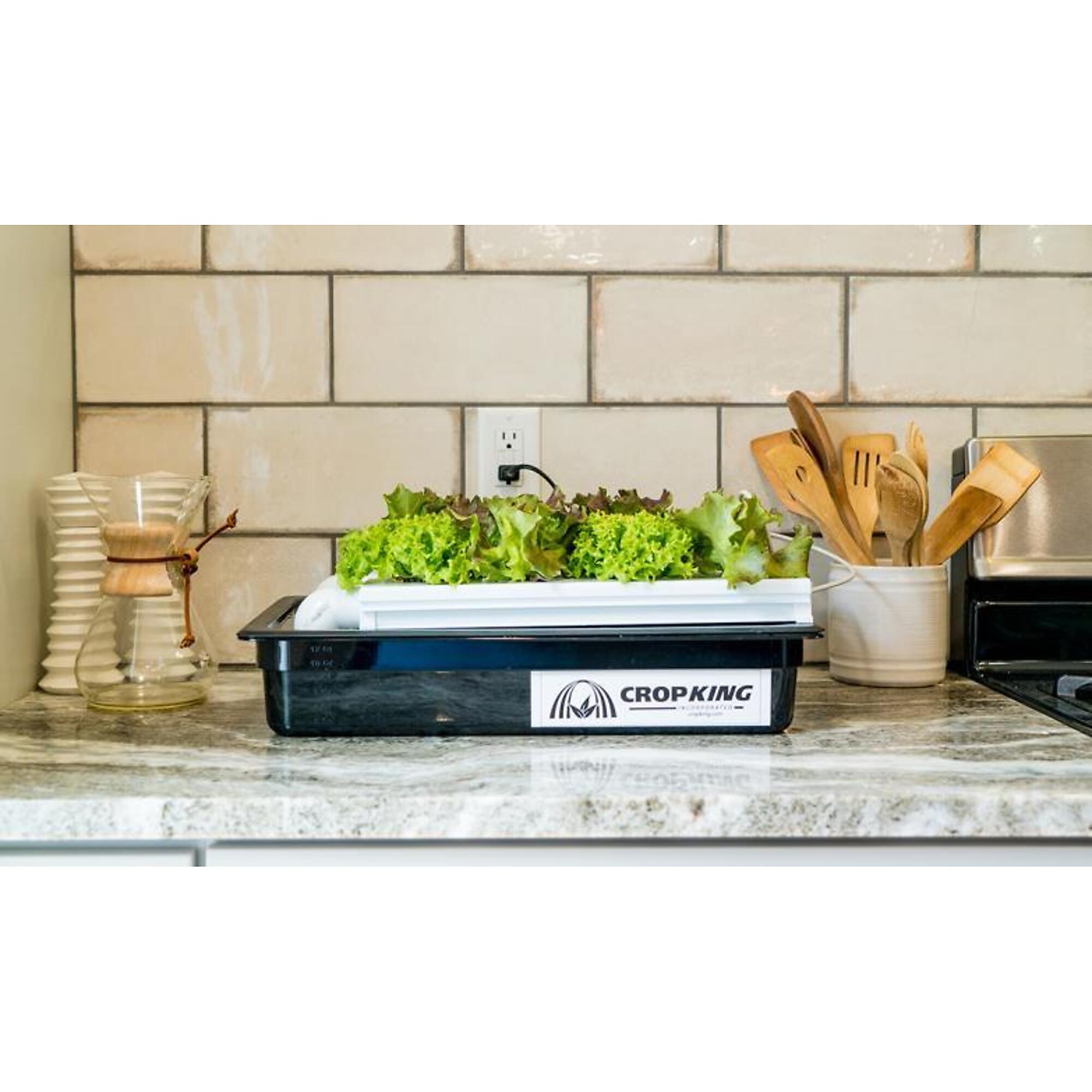 Crop King, NFT Desktop w/ Light, Plant Count 8 Channels 2 Plant Spacing 8 in, Model# NFTDESK8L