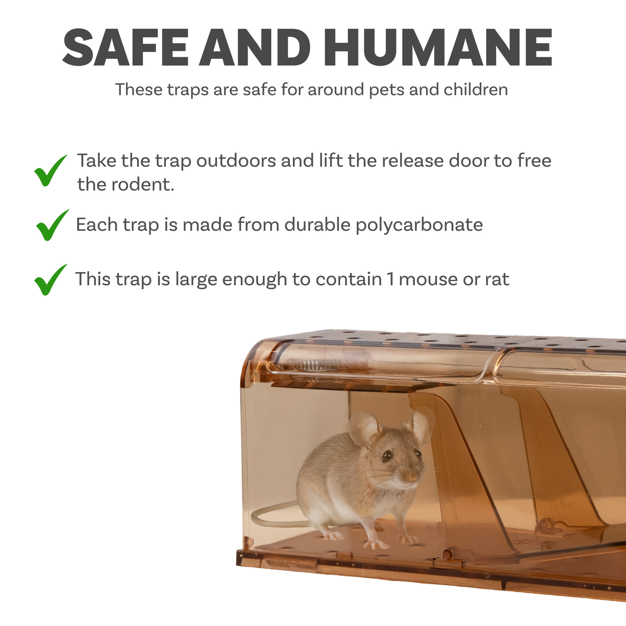 Sunnydaze Decor, Catch and Release Humane Mouse Trap, Model# XPT