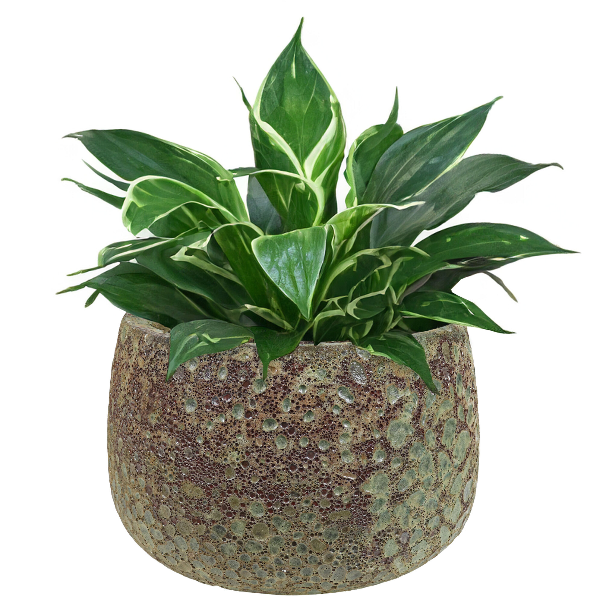 Sunnydaze Decor 14in Lava Finish Planter