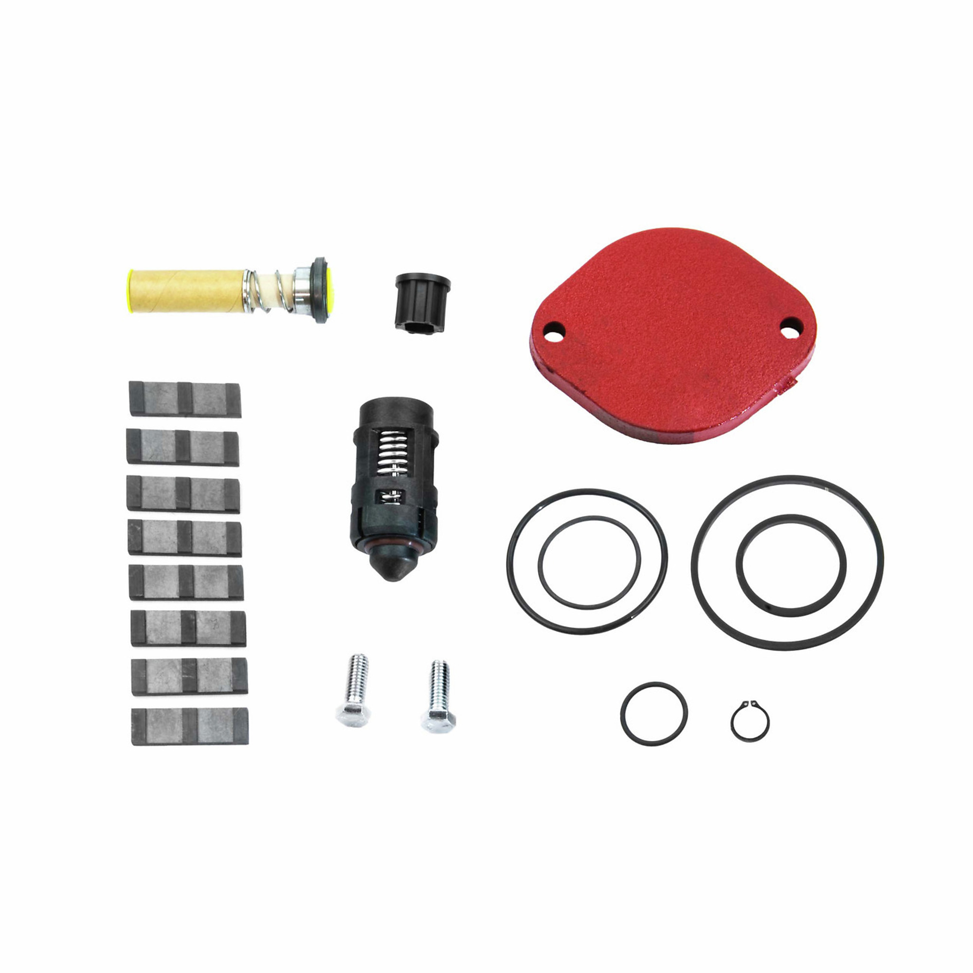 Fill-Rite Primary Overhaul Kit for 300 Series Pumps, Model# 300KTF7794