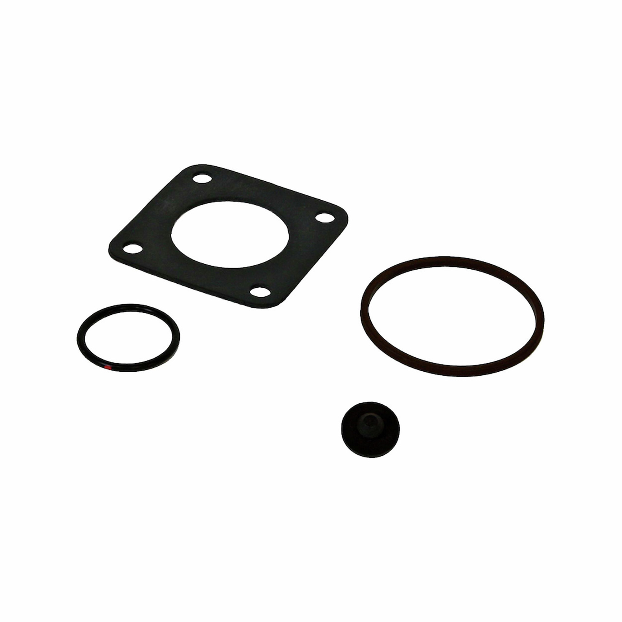 Fill-Rite Bio-Diesel and E85 Conversion Kit, Model# KIT120BD
