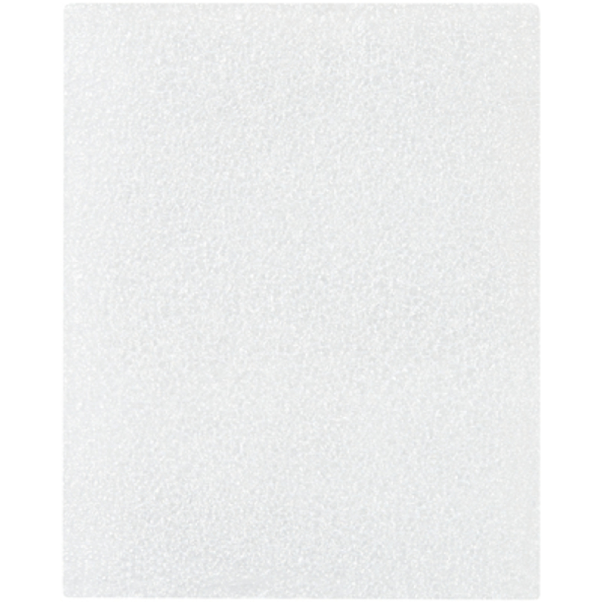 4 x 5in. Flush Cut Foam Pouches 500/CS, Model# FP45