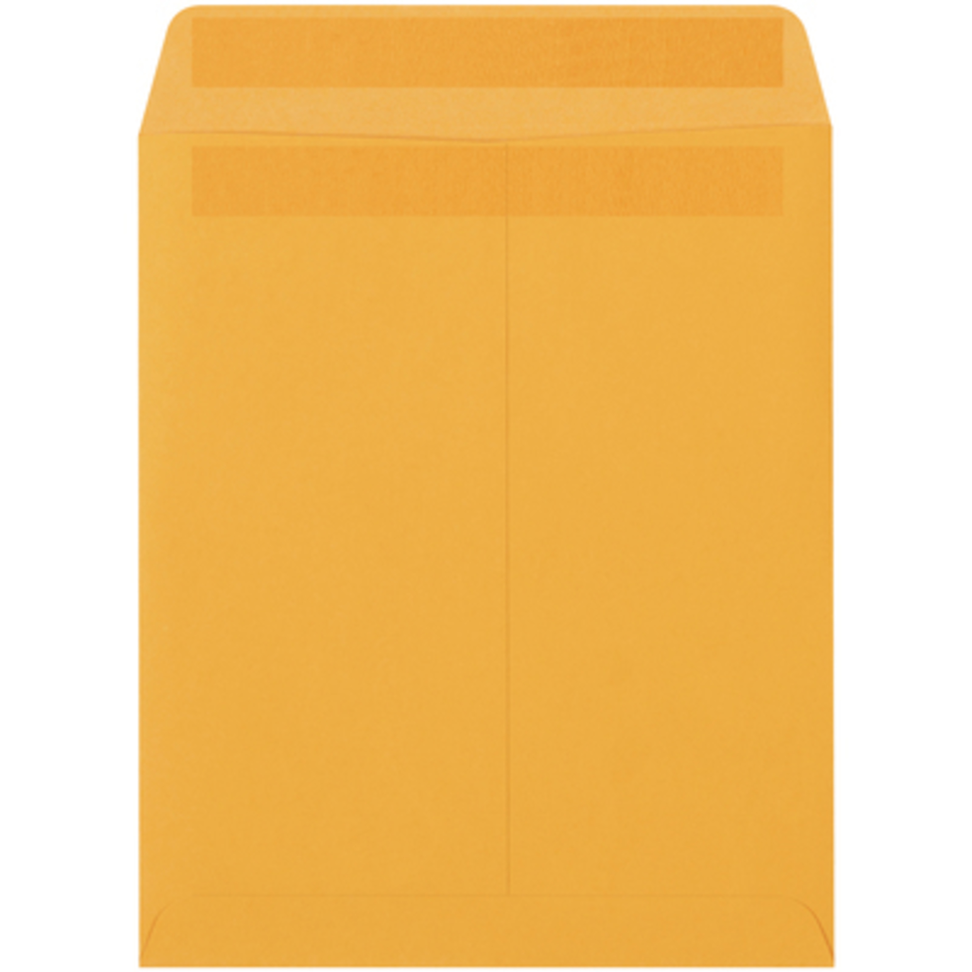 Stock Packaging Ri-Seal Envelopes — 9.5in. x 12.5in., 500 Pcs, Model# EN1043