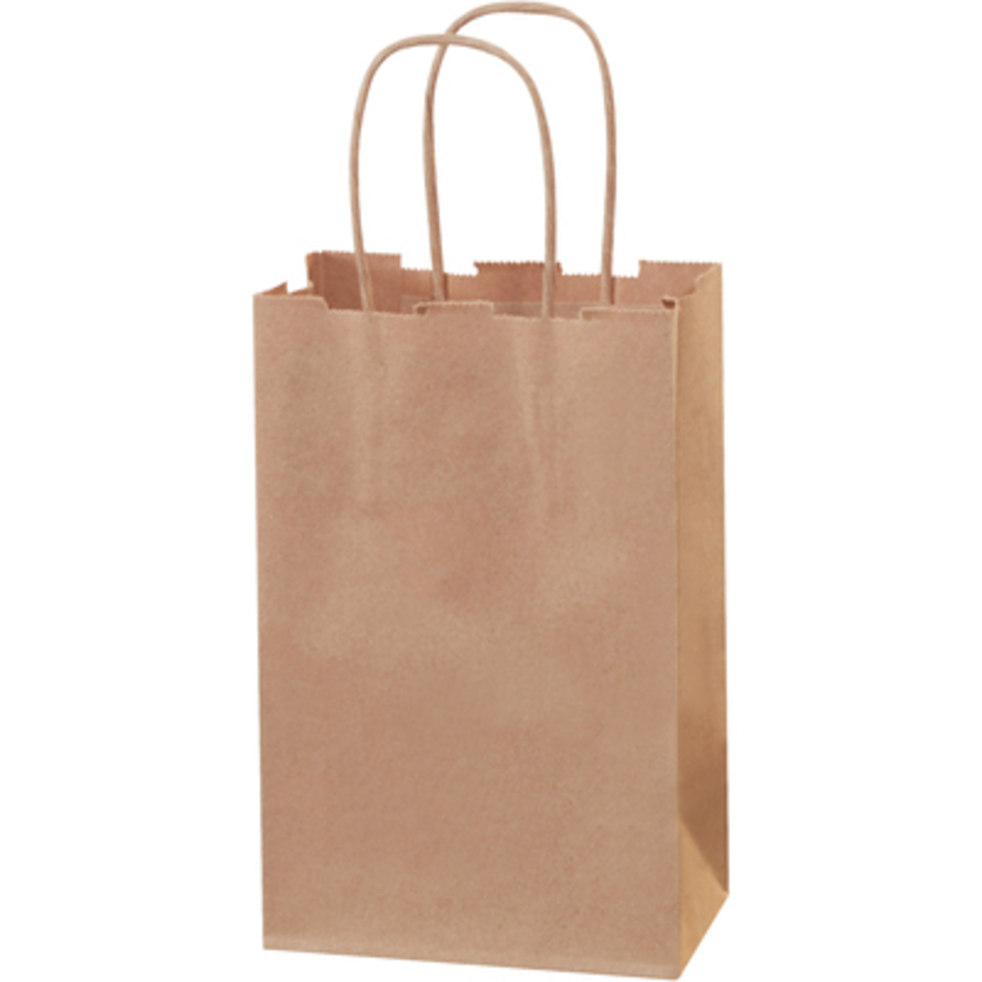 5 1/2 x 3 1/4 x 8 3/8in. Kft P S Bags 250/CS, Length 5.5 in, Model# BGS101K