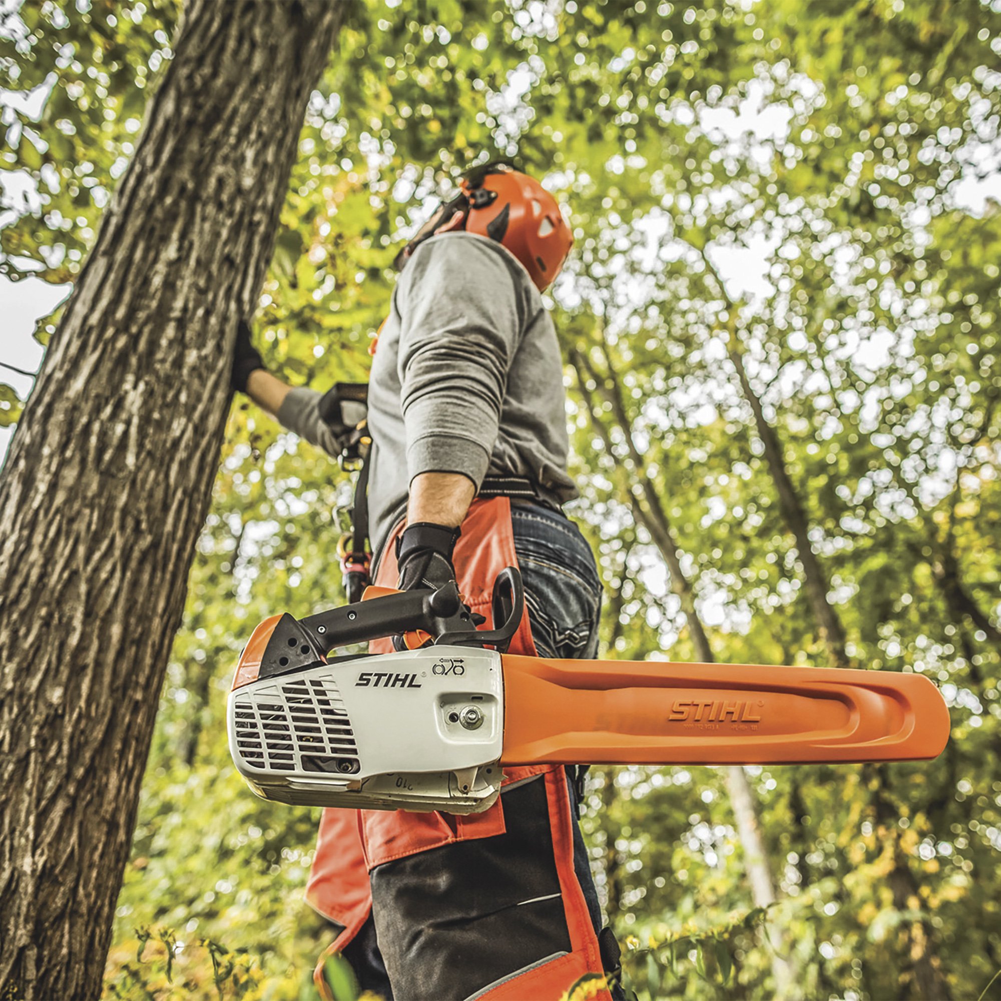 Stihl Gas Chainsaw, 14in. Bar, 30.1cc, 3/8in. Chain Pitch, Model MS