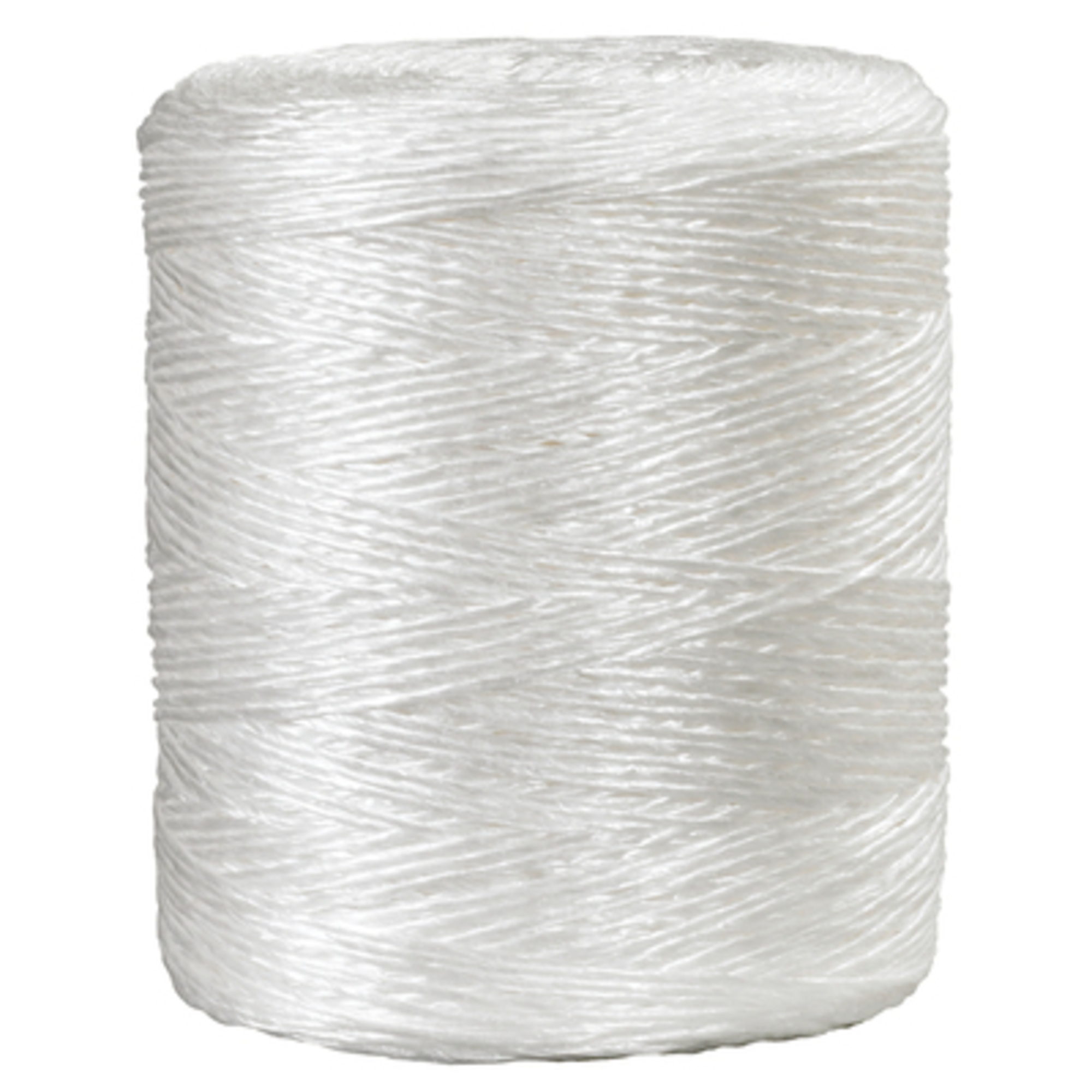 2-Ply, 490 lb, White P Tying Twine 1/CS, Material Nylon, Width 1 in, Model# TWT265