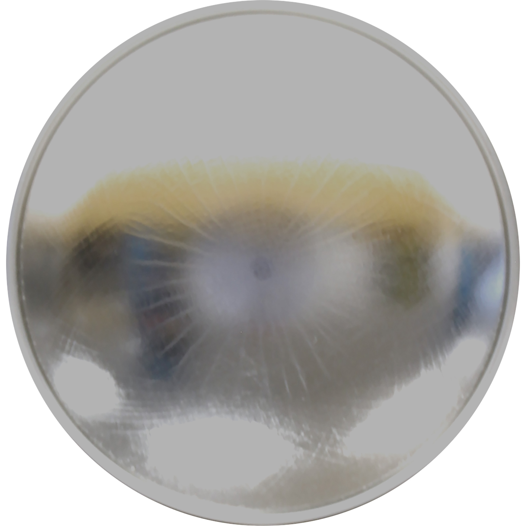 thumbnail 5 of 5