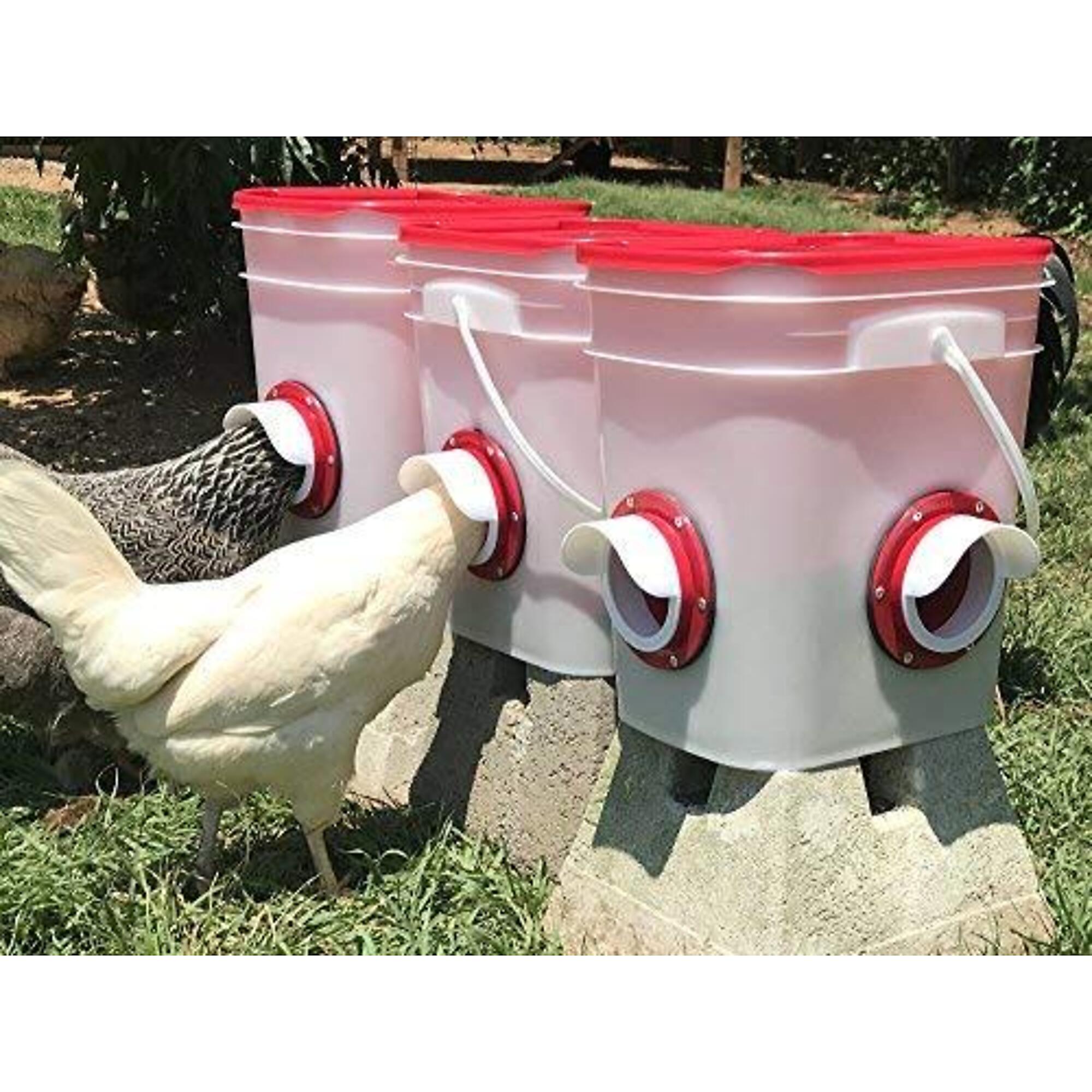 thumbnail 2 of 5