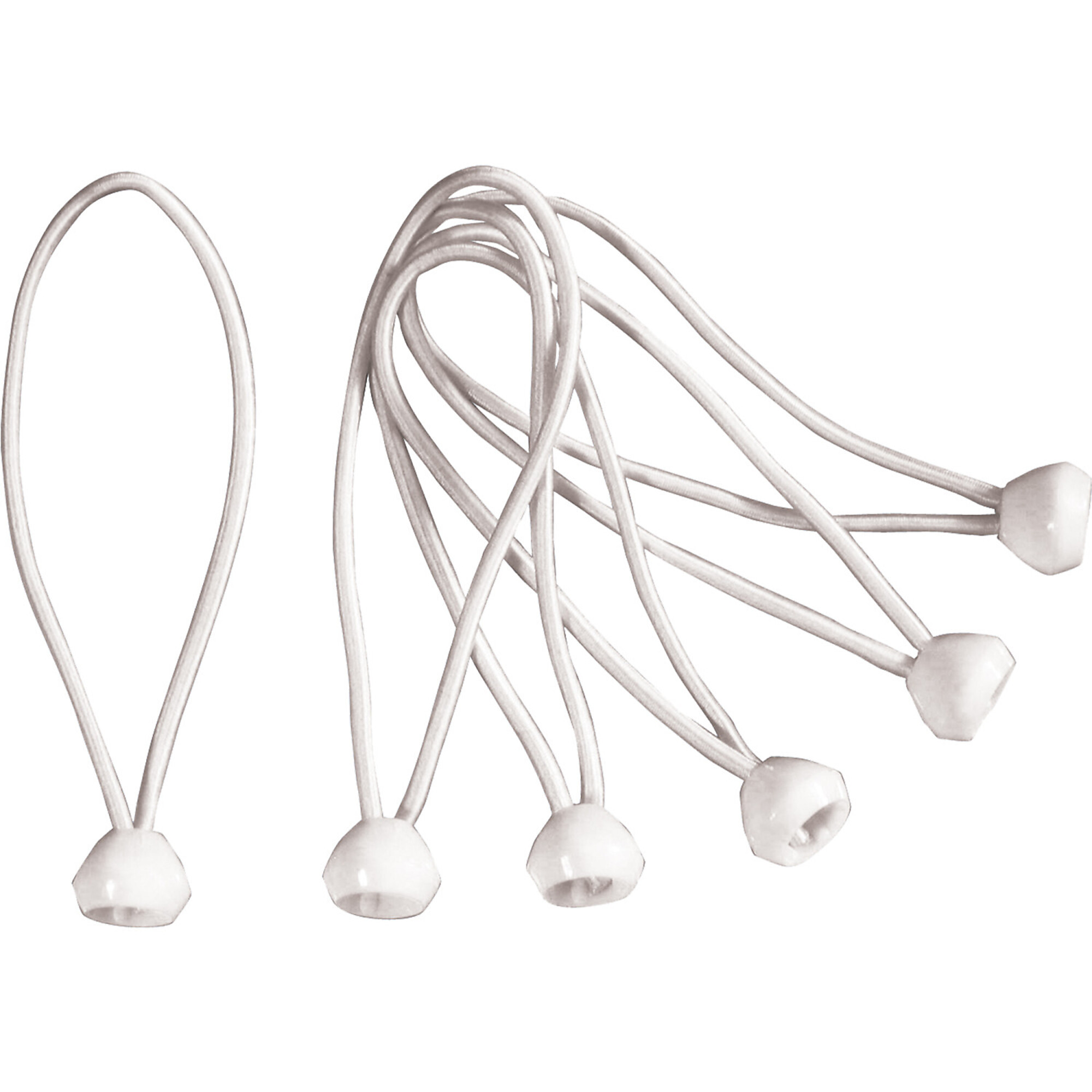 ShelterLogic 25-Pk. of Bungee Fasteners