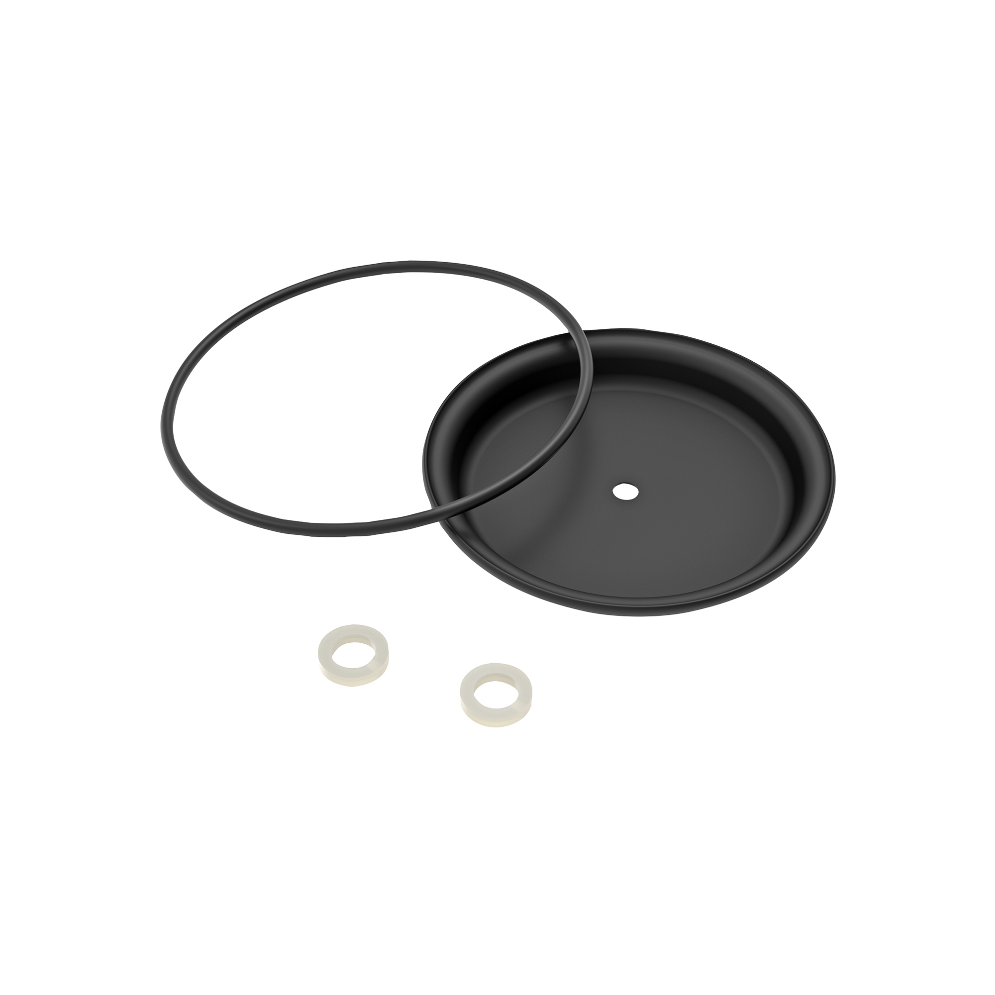 GPI Diaphragm Kit for DP-20 Hand Pumps, Model# DP-20